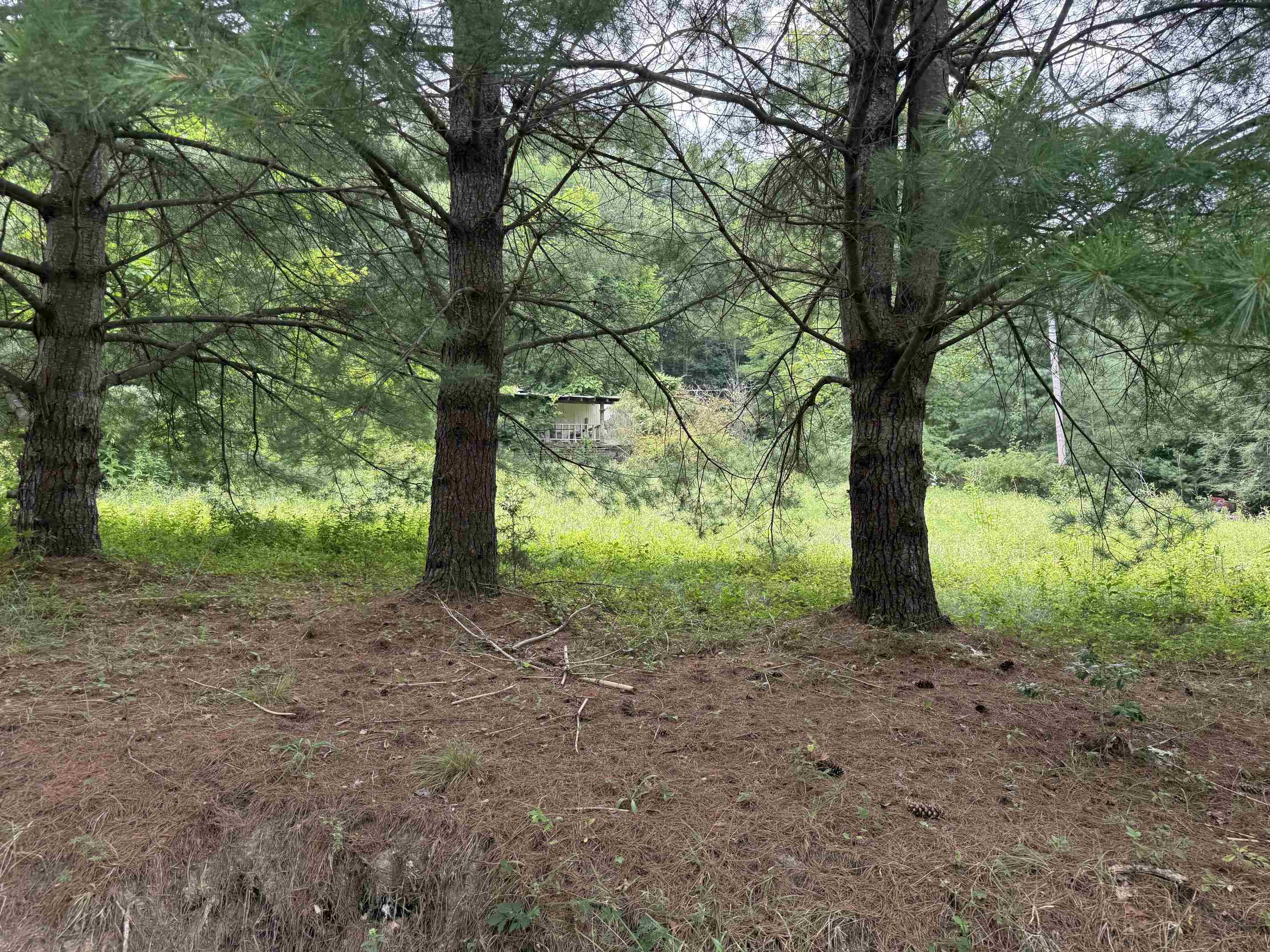 1485 Price Ridge Road Bland VA 24315