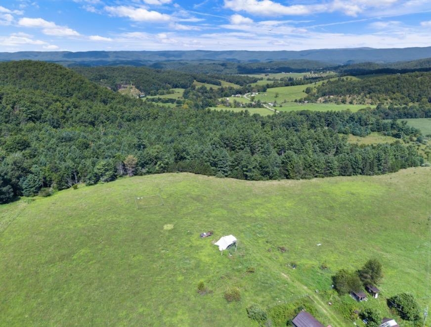 1485 Price Ridge Road Bland VA 24315