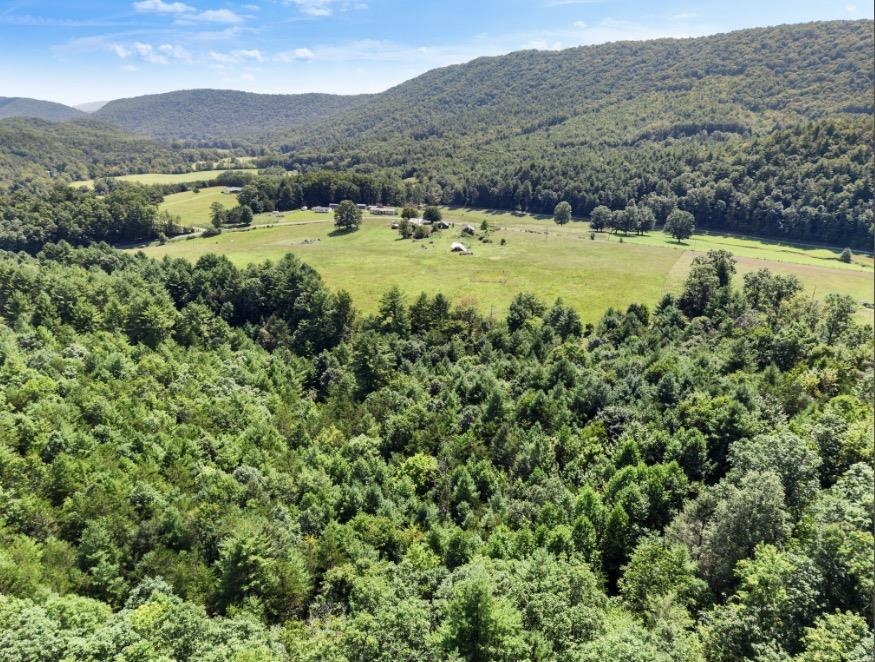 1485 Price Ridge Road Bland VA 24315