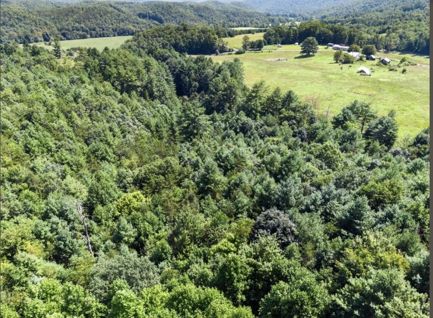 1485 Price Ridge Road Bland VA 24315