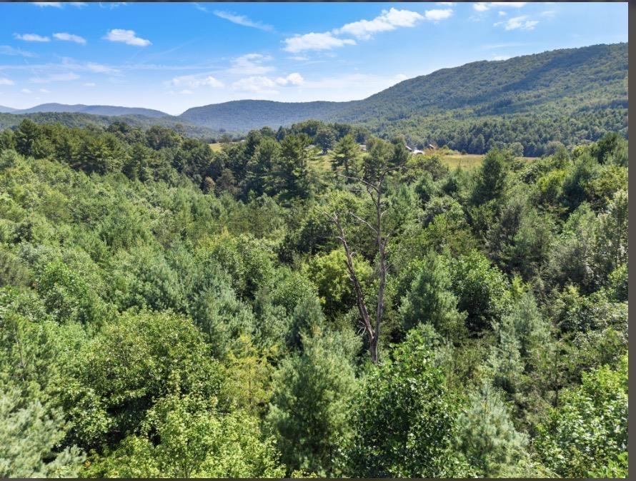 1485 Price Ridge Road Bland VA 24315