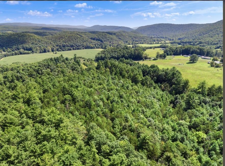 1485 Price Ridge Road Bland VA 24315