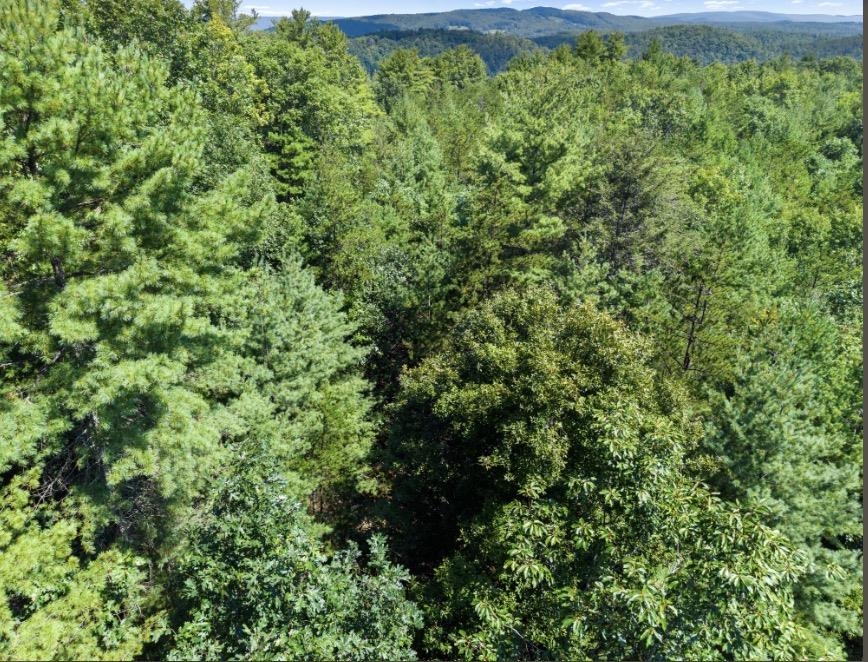1485 Price Ridge Road Bland VA 24315