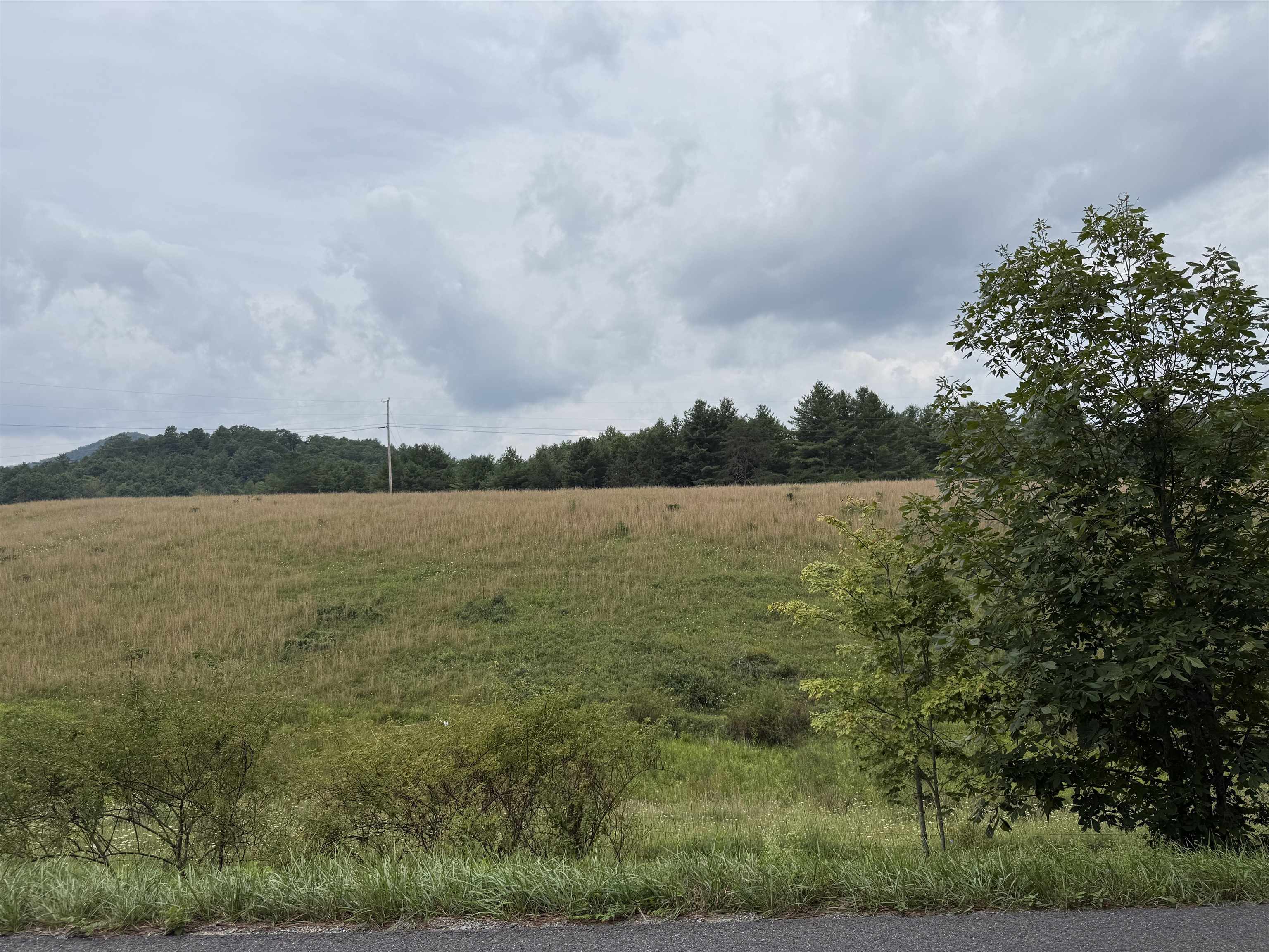1485 Price Ridge Road Bland VA 24315