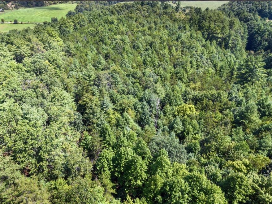 1485 Price Ridge Road Bland VA 24315