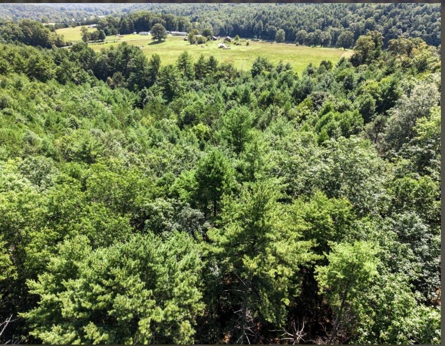 1485 Price Ridge Road Bland VA 24315