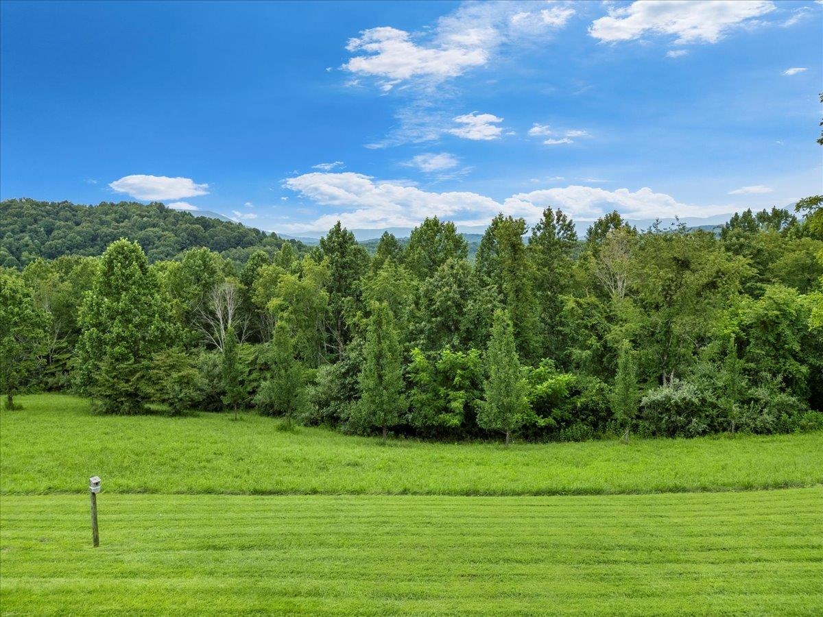 290 Moye Road Staffordsville VA 24167