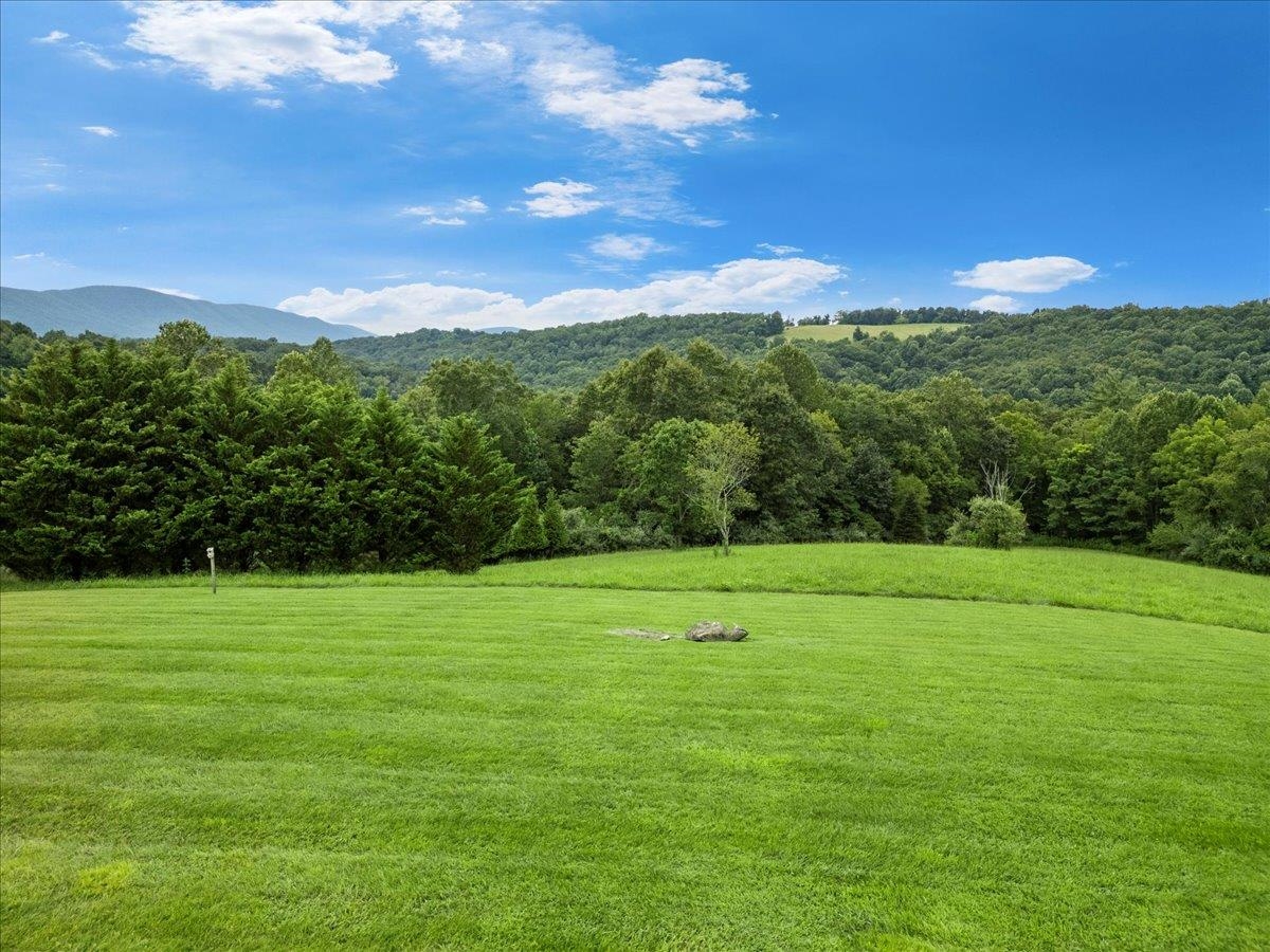 290 Moye Road Staffordsville VA 24167