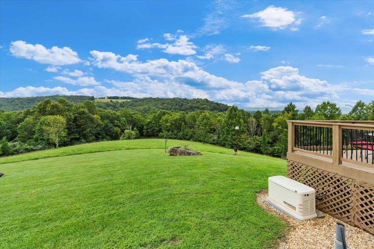 290 Moye Road Staffordsville VA 24167