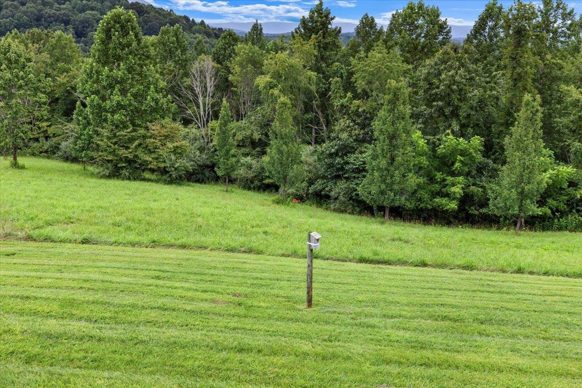 290 Moye Road Staffordsville VA 24167