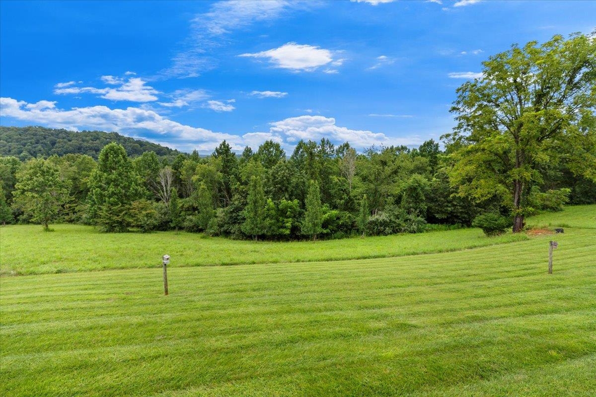 290 Moye Road Staffordsville VA 24167