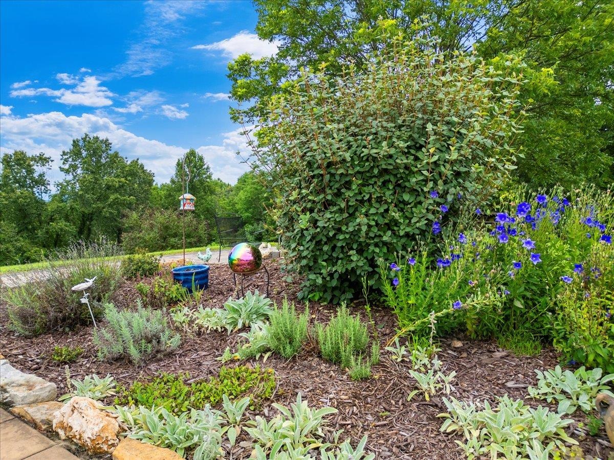 290 Moye Road Staffordsville VA 24167