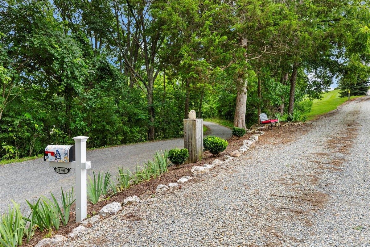 290 Moye Road Staffordsville VA 24167