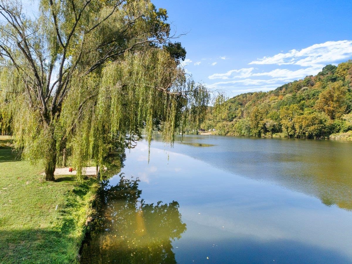 1769 Julia Simpkins Road Allisonia VA 24347