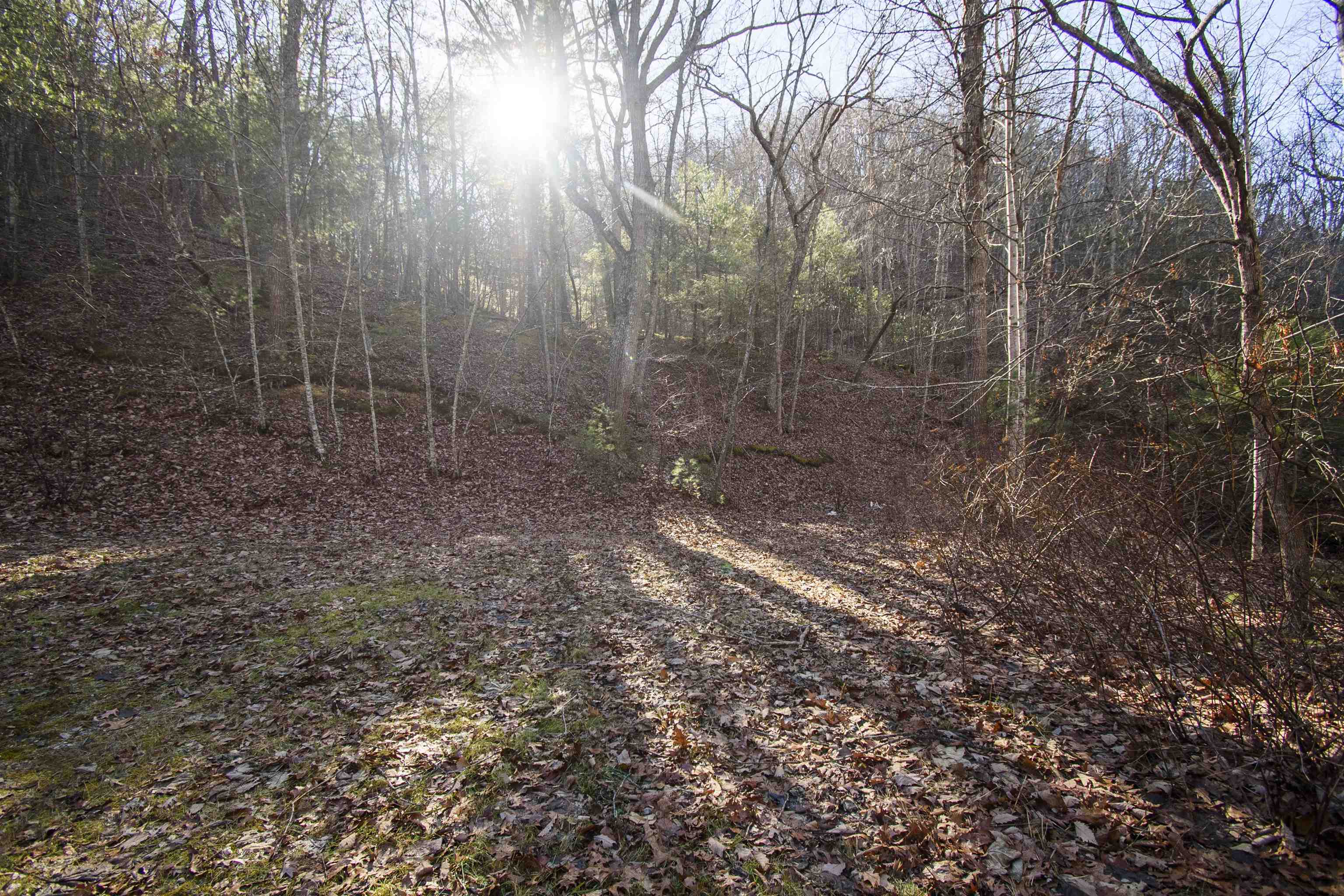 5545 Norris Run Road Blacksburg VA 24060