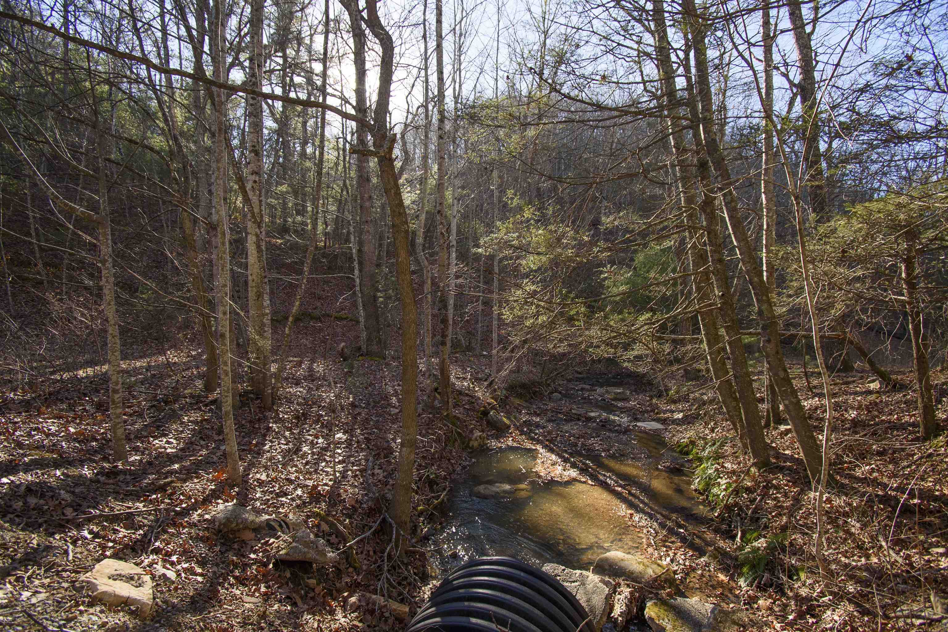 5545 Norris Run Road Blacksburg VA 24060