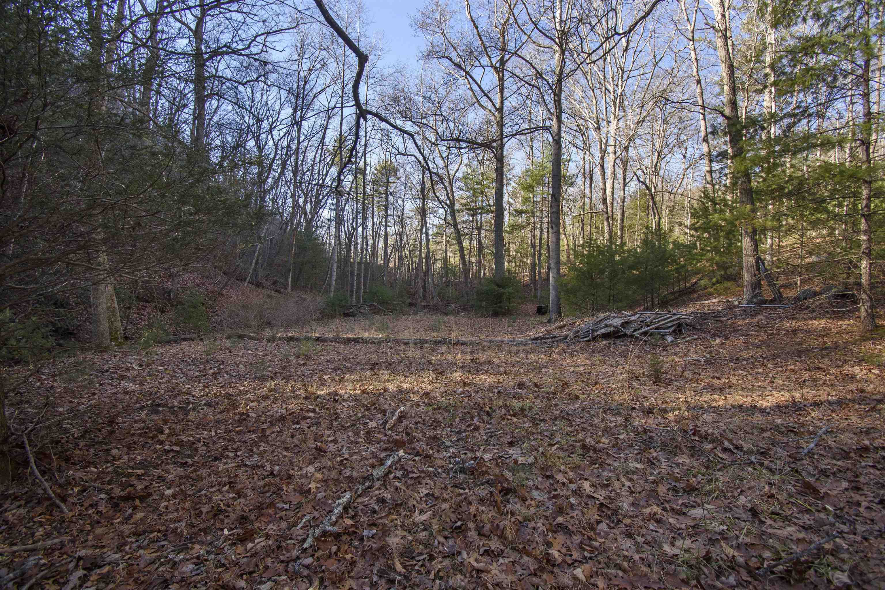 5545 Norris Run Road Blacksburg VA 24060