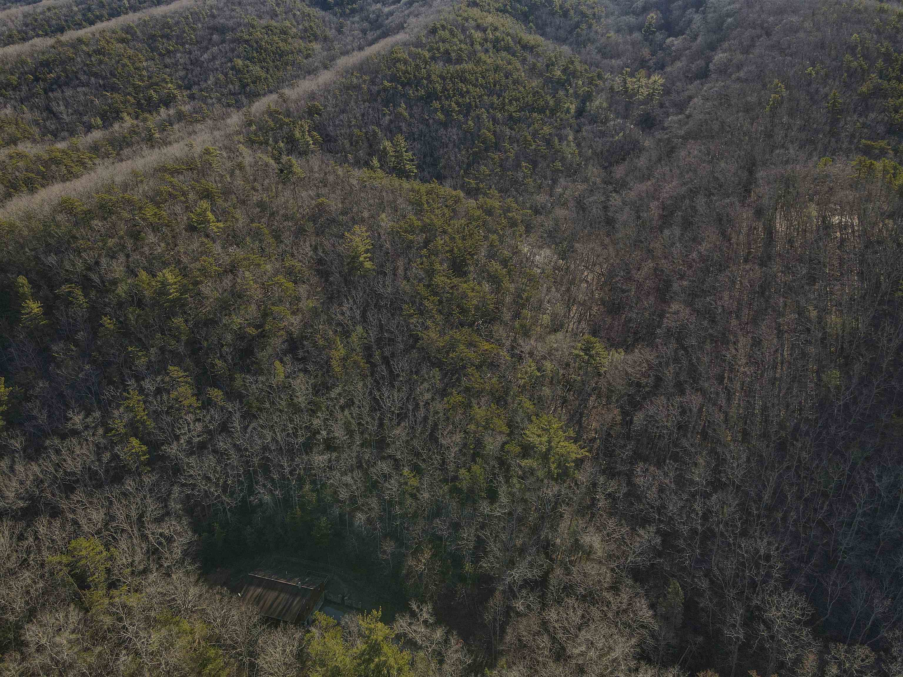 5545 Norris Run Road Blacksburg VA 24060