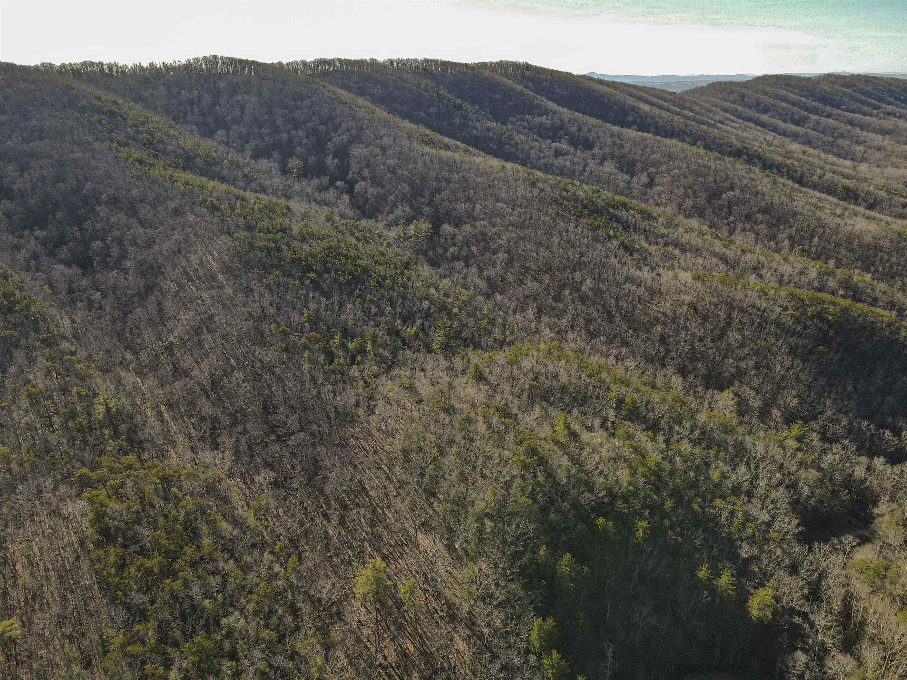 5545 Norris Run Road Blacksburg VA 24060