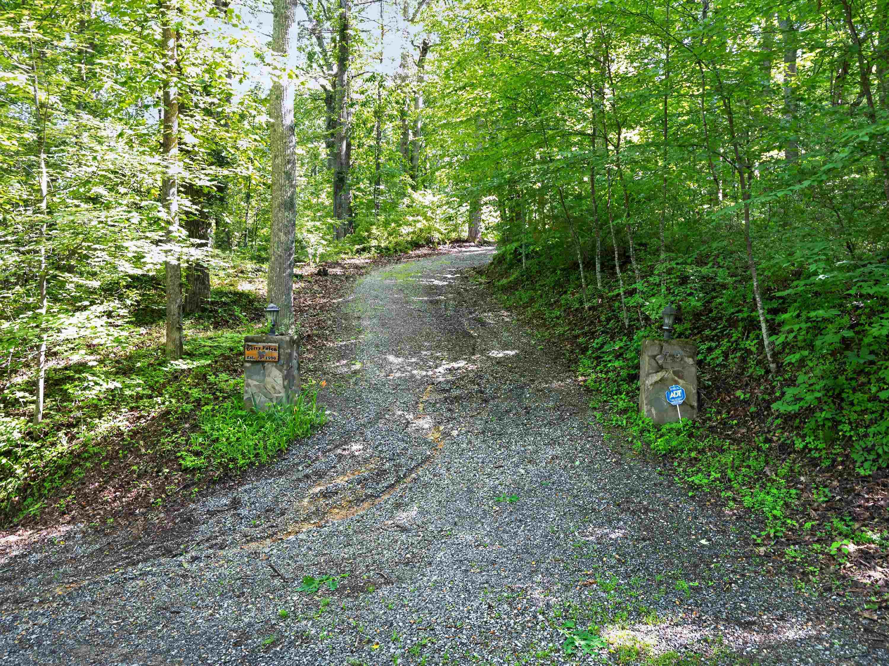 79 Rock Fence Lane Elk Creek VA 24326