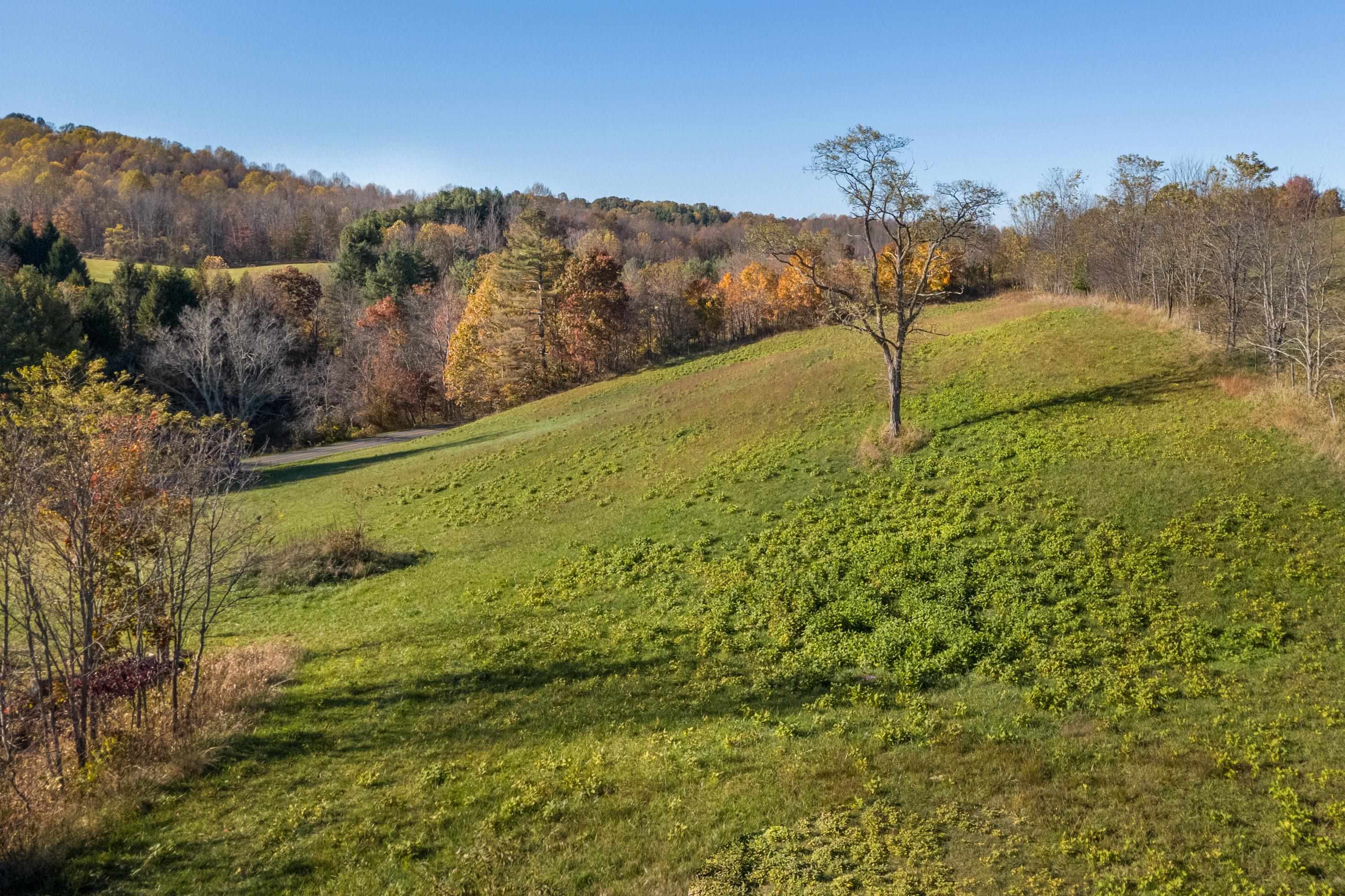 1237 Duncans Chapel Road Willis VA 24380