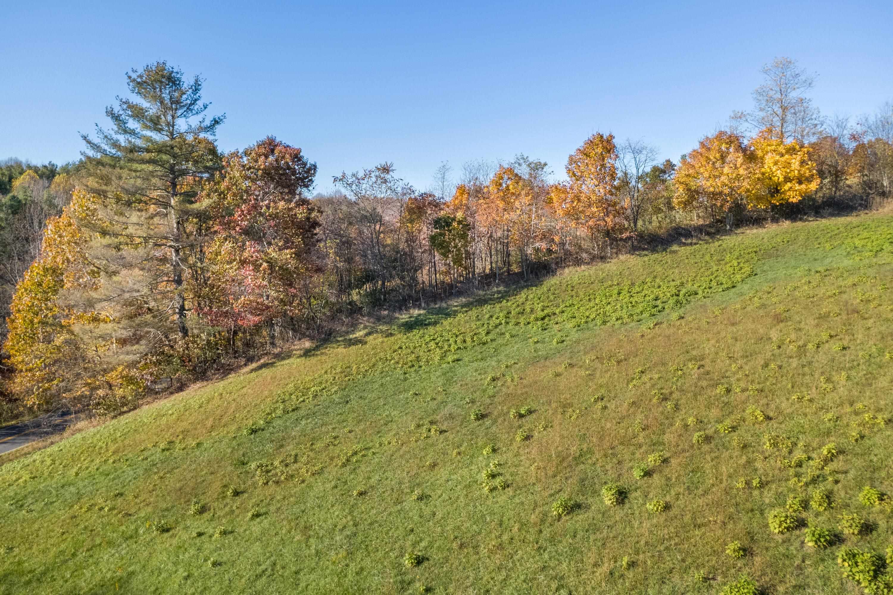 1237 Duncans Chapel Road Willis VA 24380