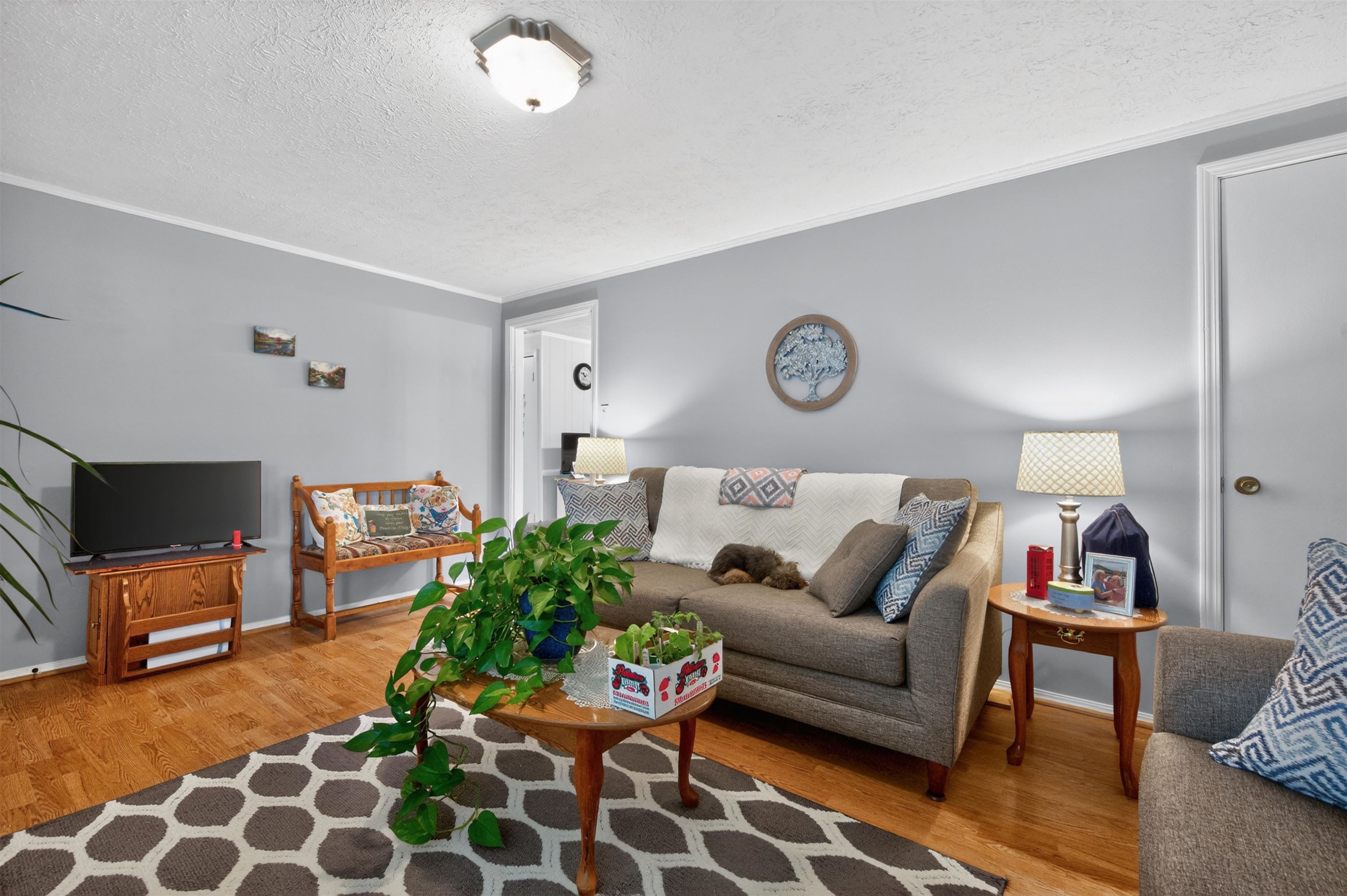 270 S. 14th Street Wytheville VA 24382