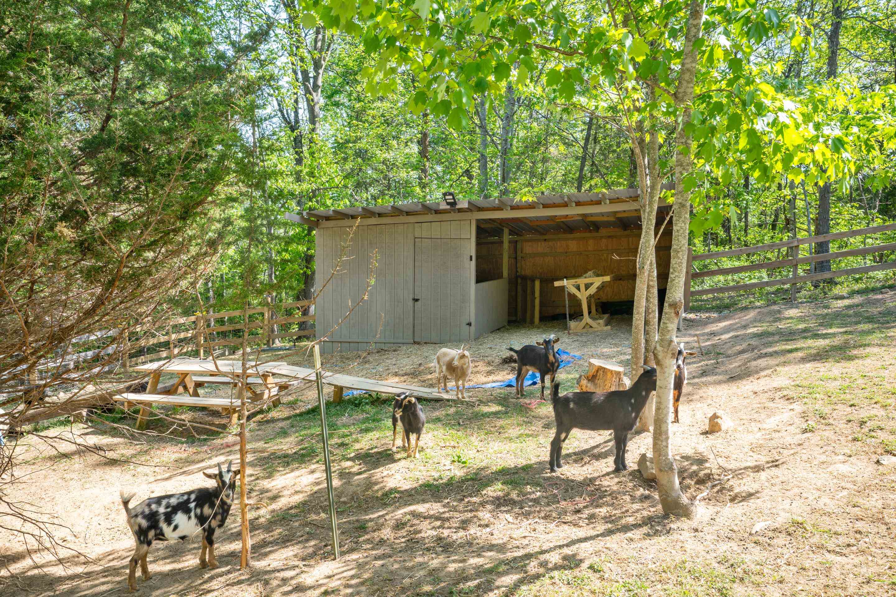 12639 Catawba Road Troutville VA 24175