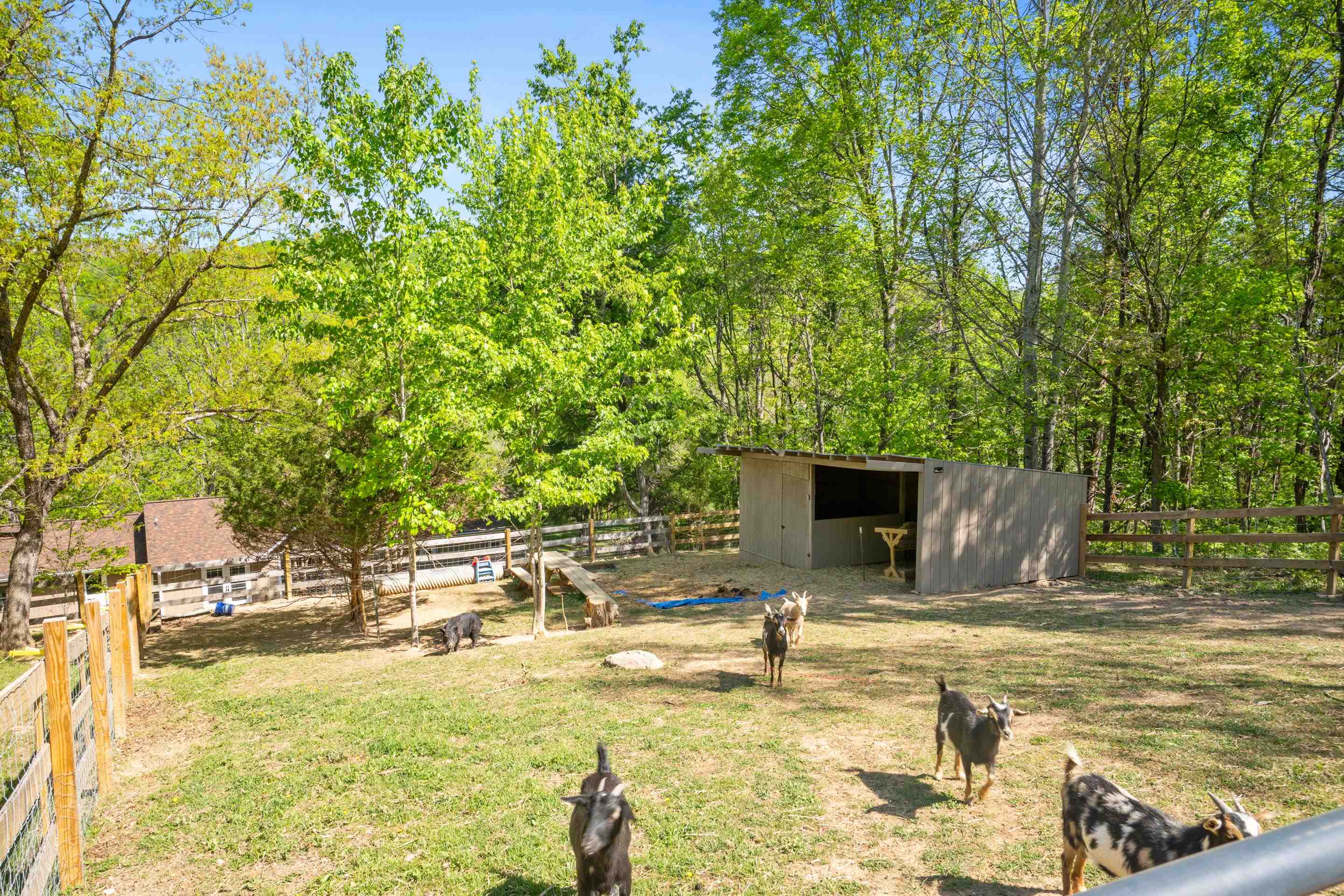 12639 Catawba Road Troutville VA 24175