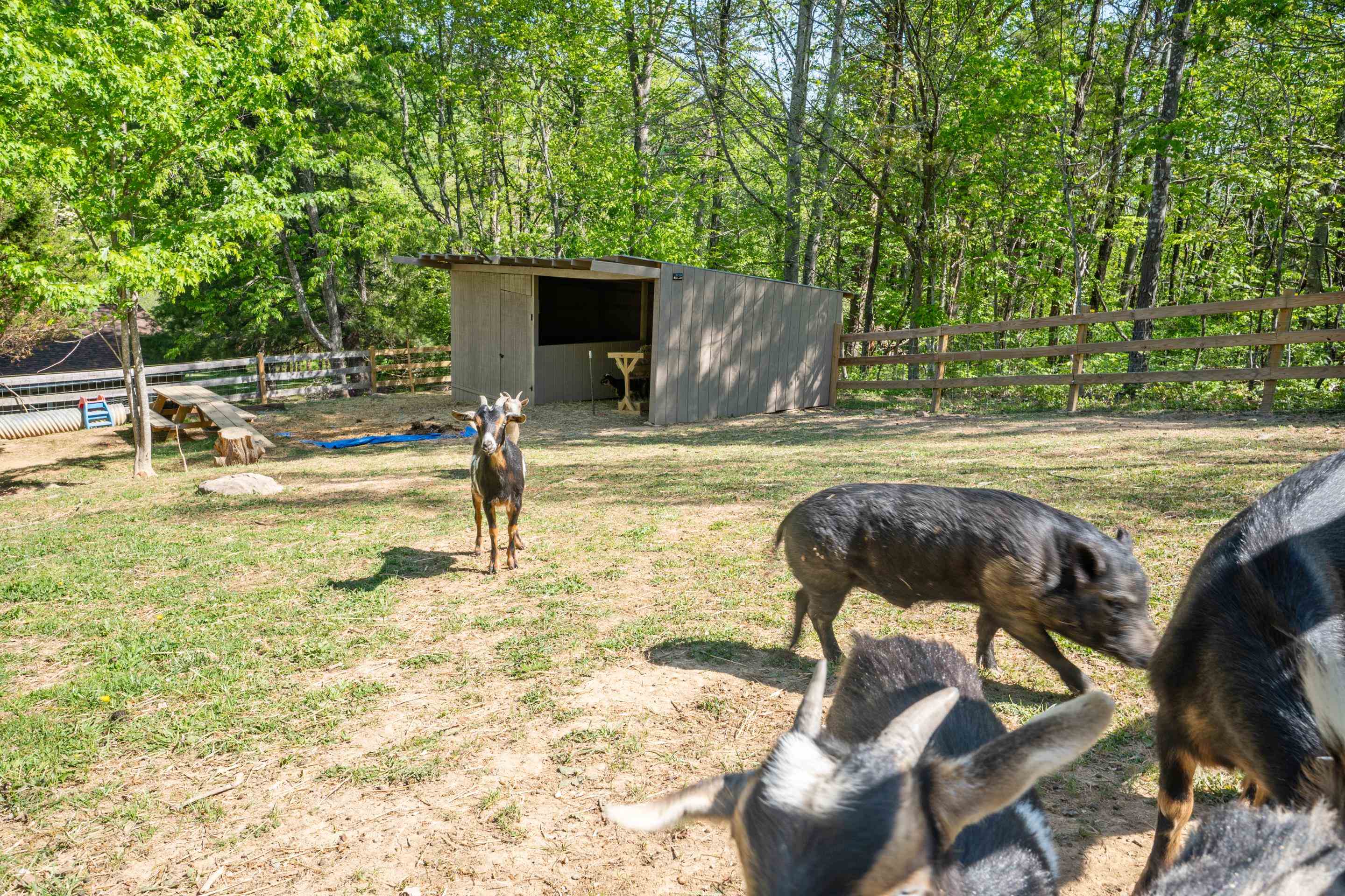 12639 Catawba Road Troutville VA 24175