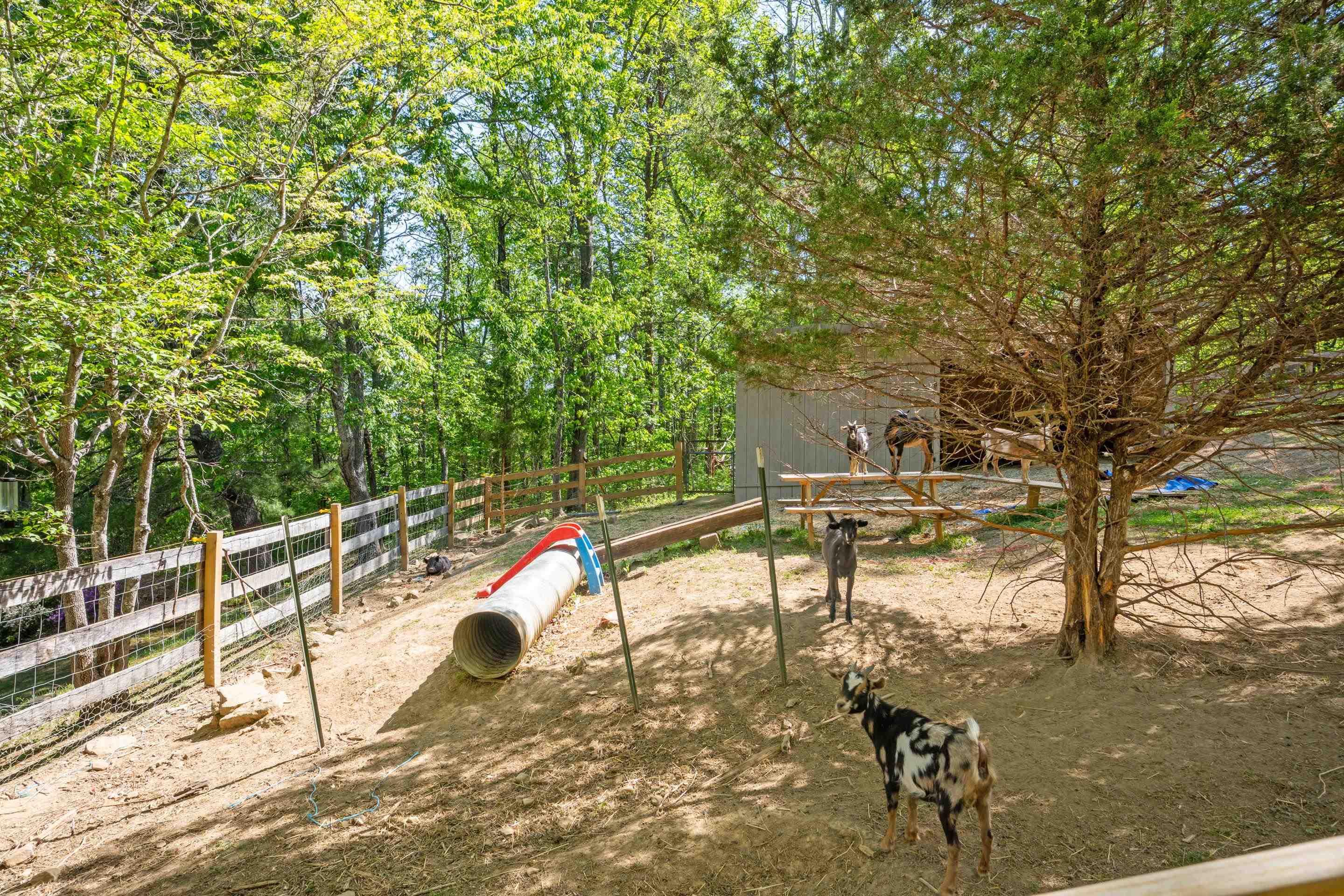12639 Catawba Road Troutville VA 24175