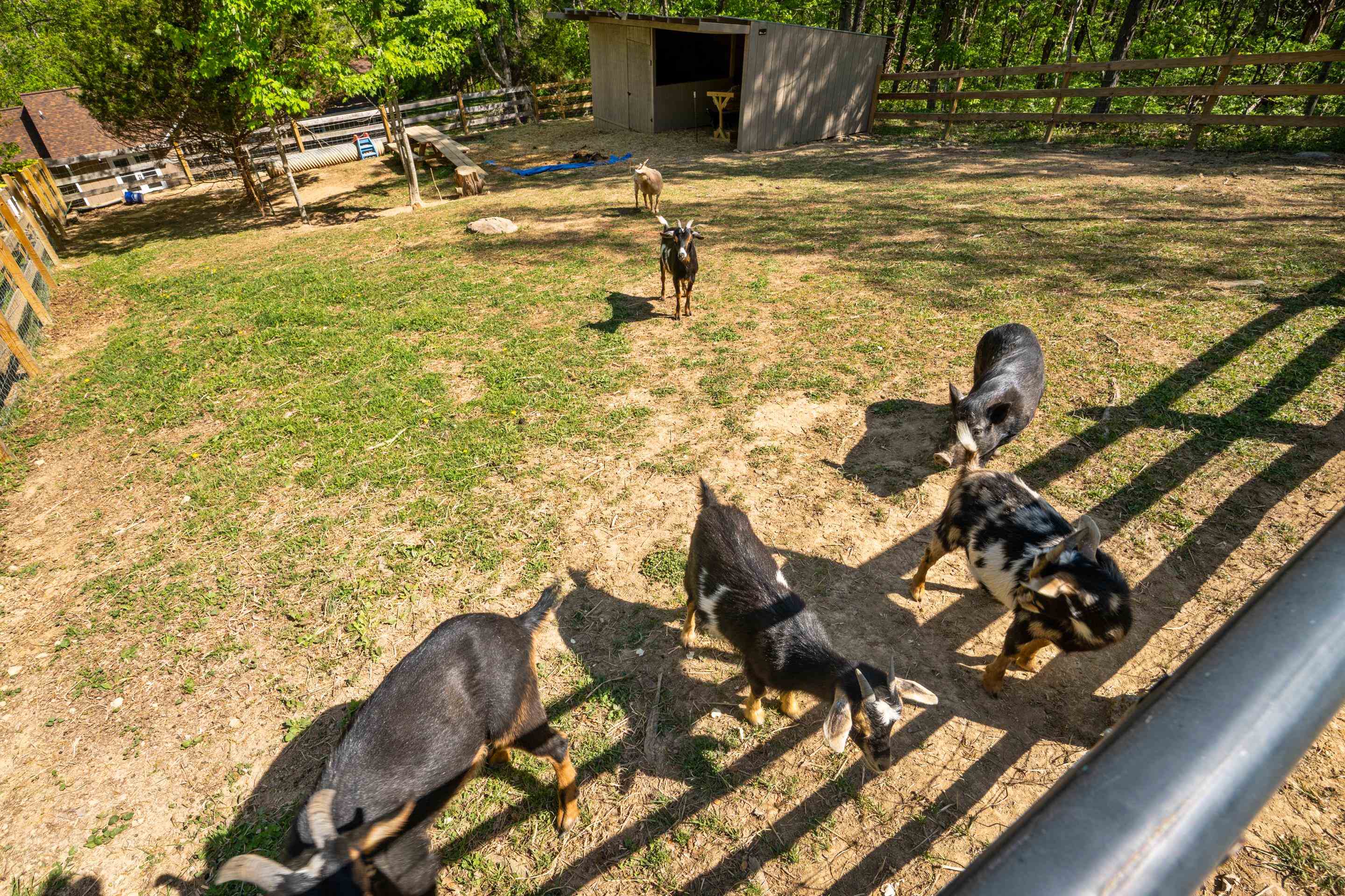 12639 Catawba Road Troutville VA 24175