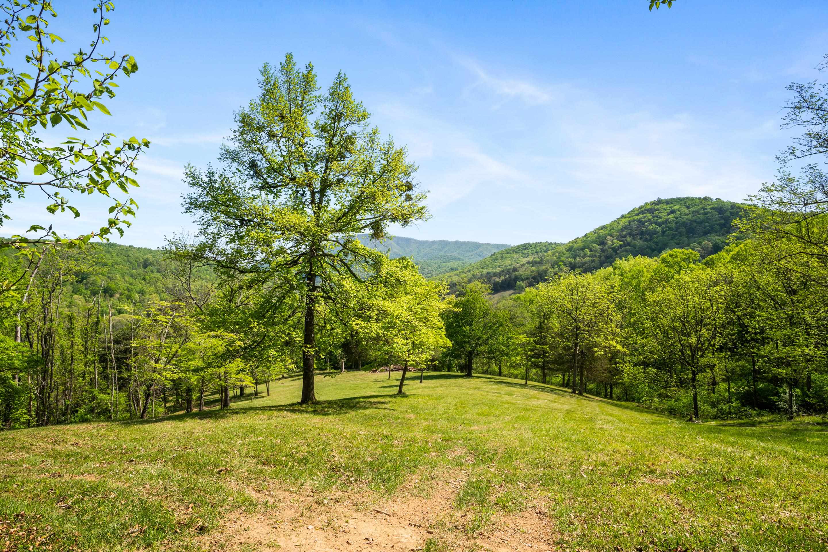 12639 Catawba Road Troutville VA 24175