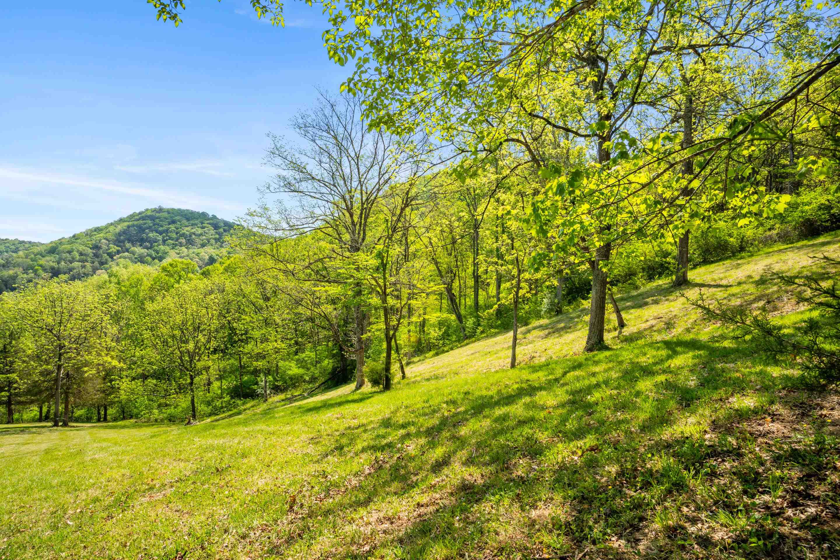 12639 Catawba Road Troutville VA 24175