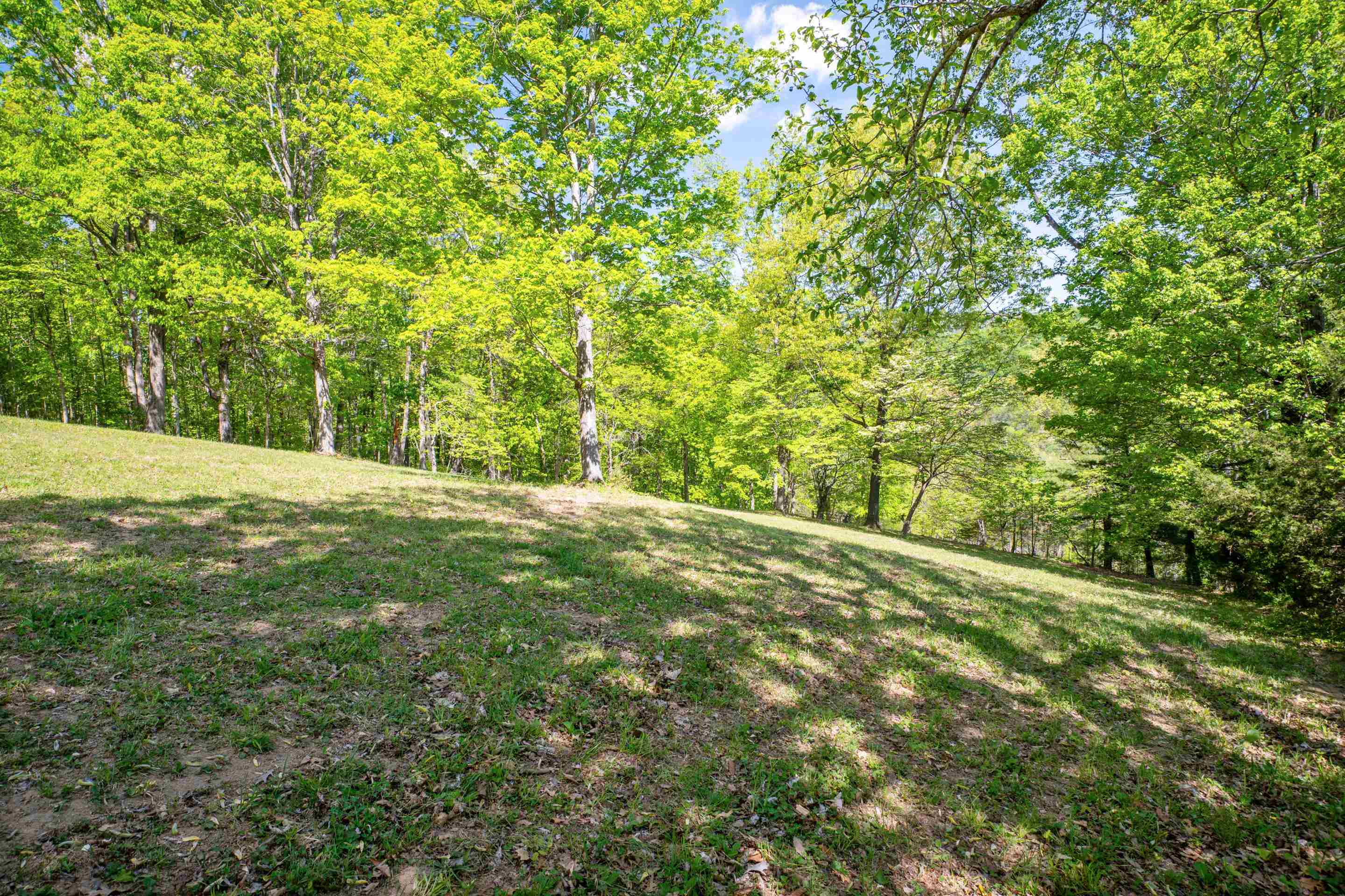 12639 Catawba Road Troutville VA 24175