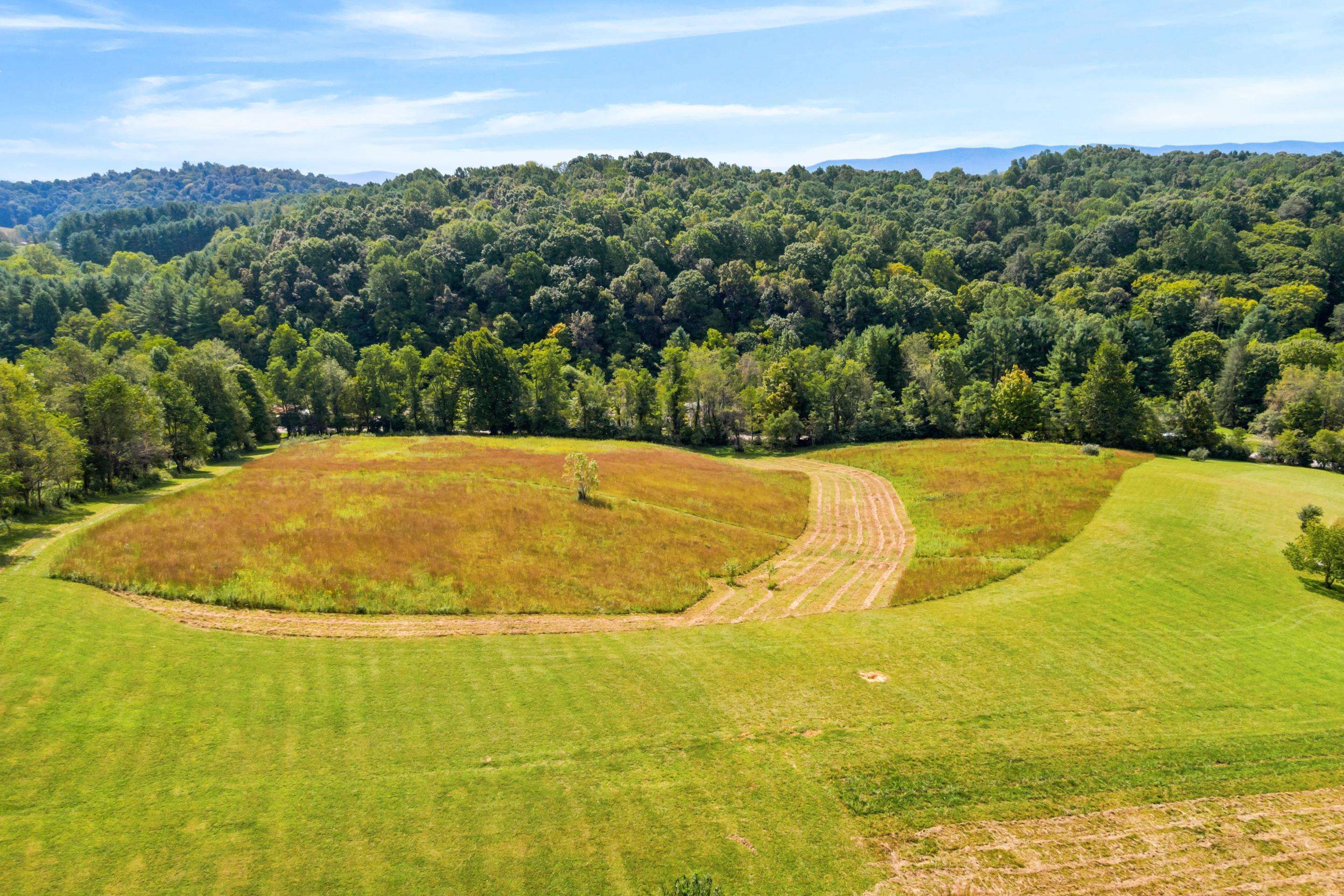 301 Tickle Pink Lane Rural Retreat VA 24368