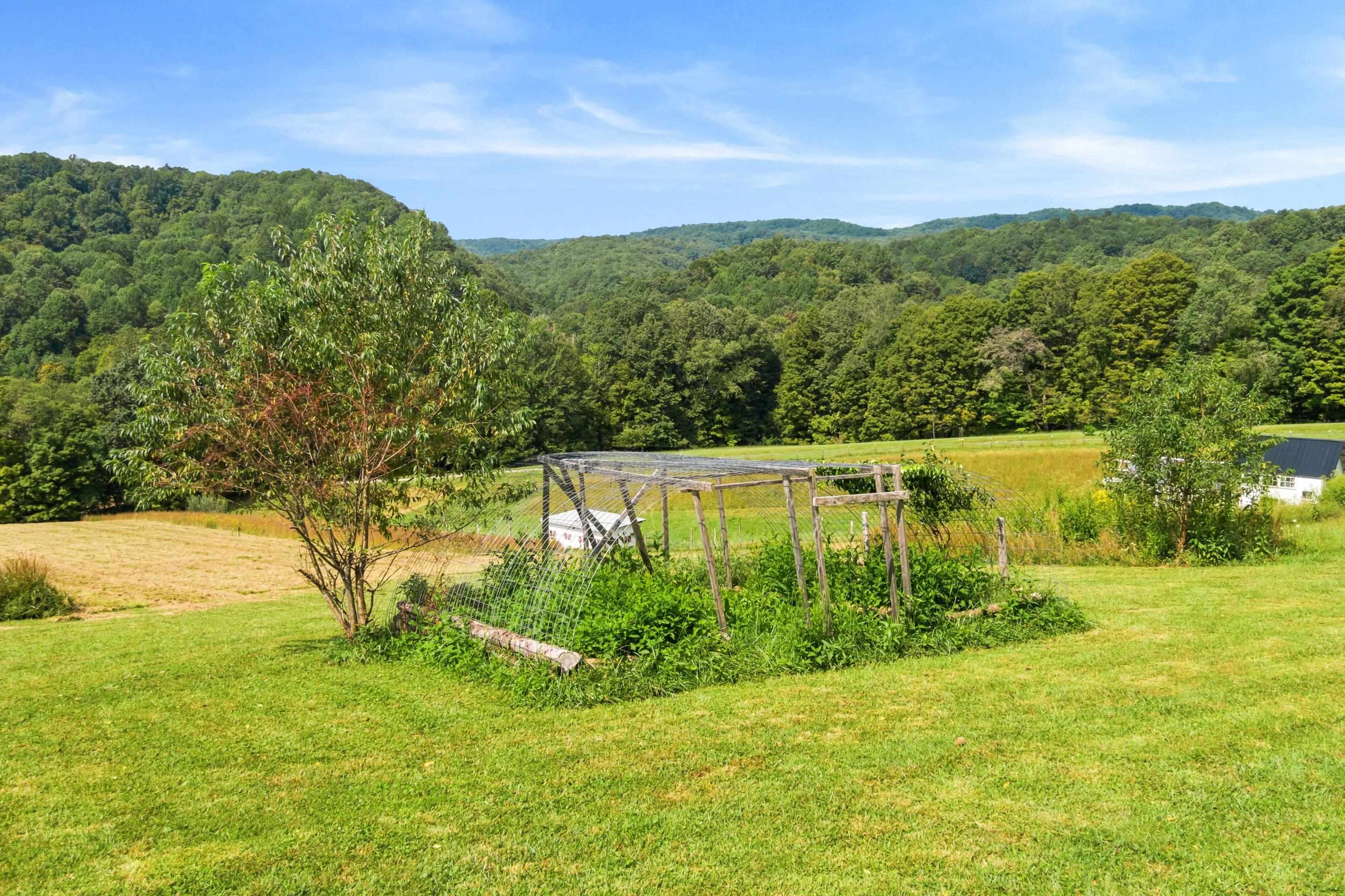 301 Tickle Pink Lane Rural Retreat VA 24368