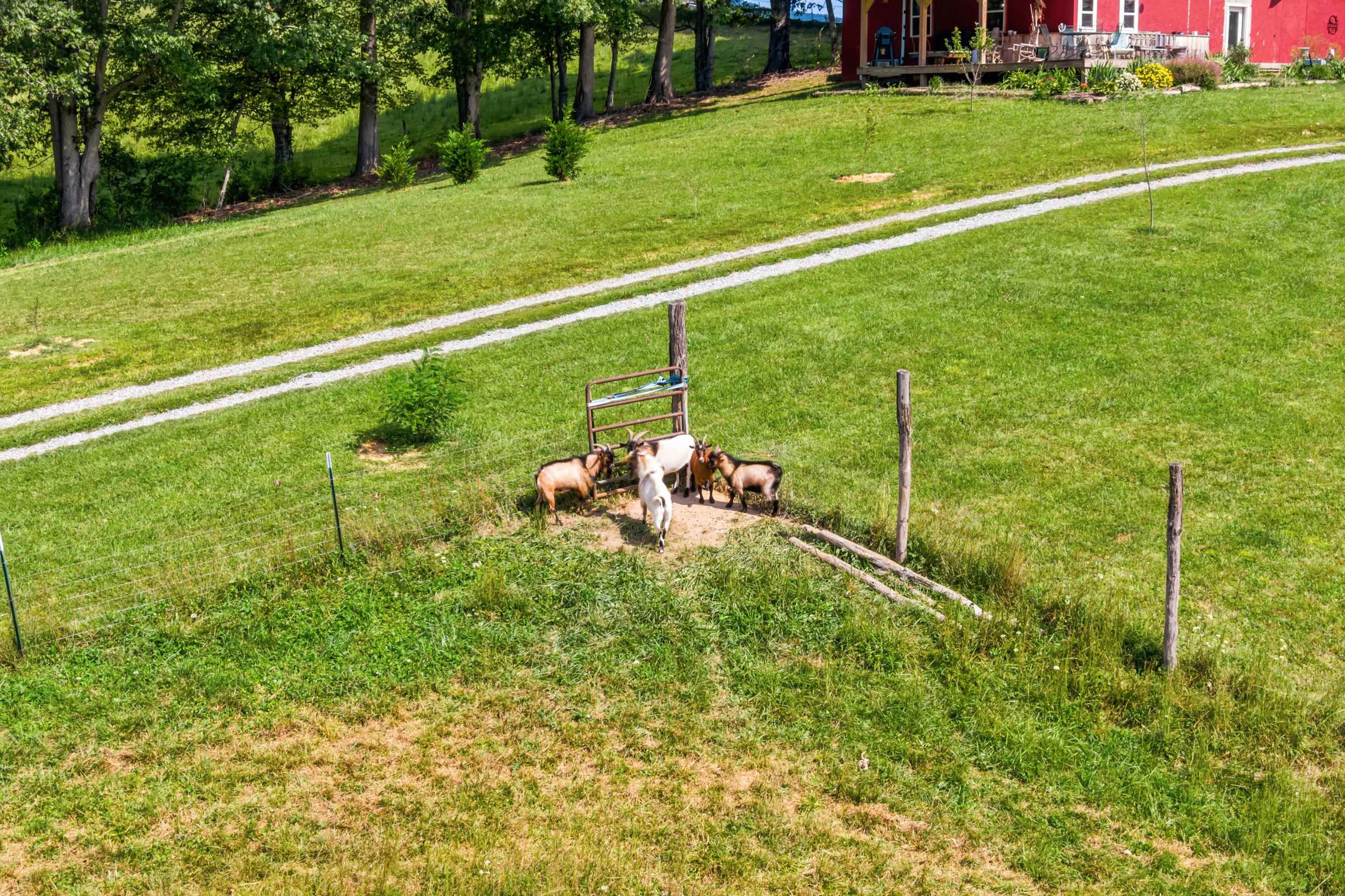 301 Tickle Pink Lane Rural Retreat VA 24368