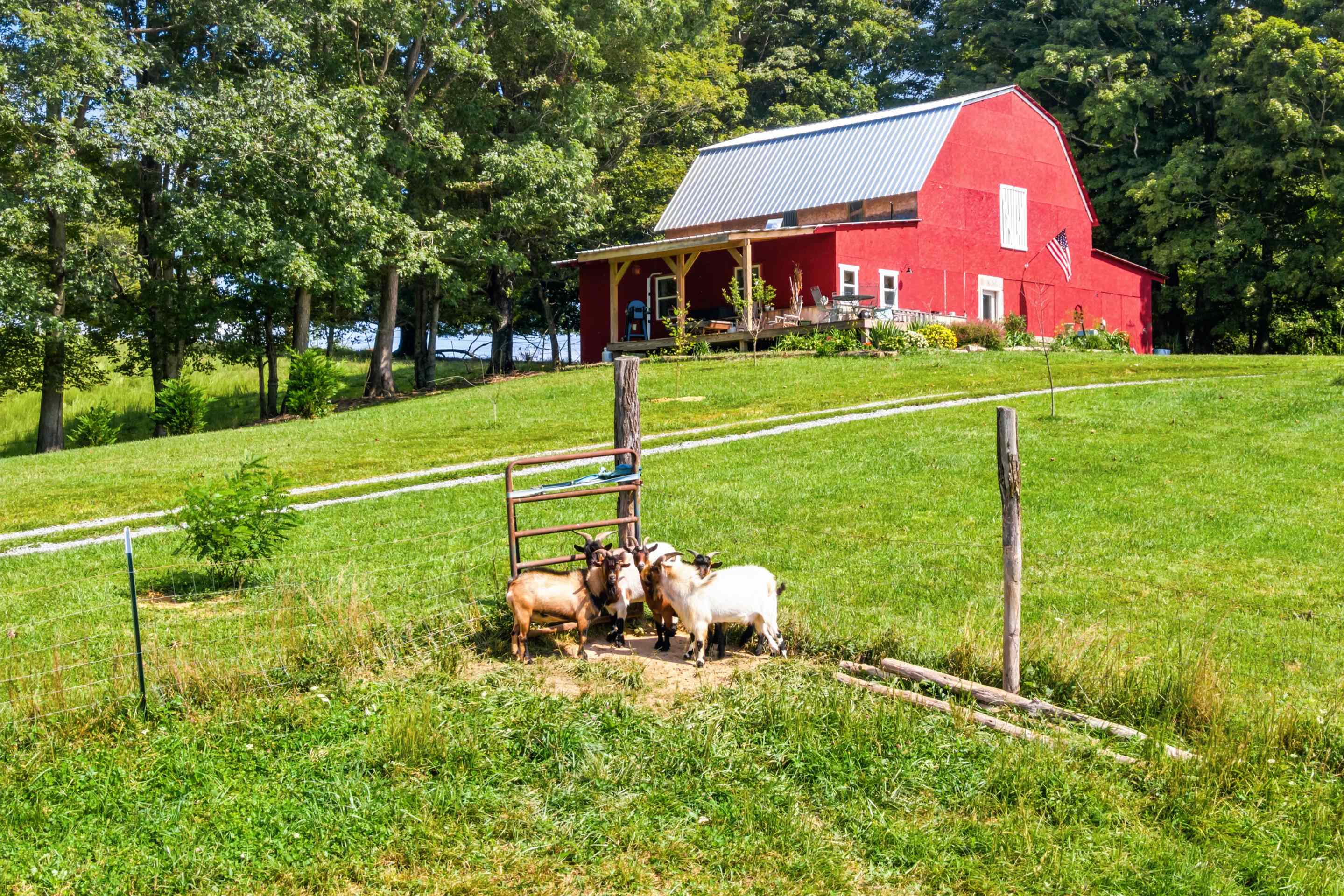 301 Tickle Pink Lane Rural Retreat VA 24368