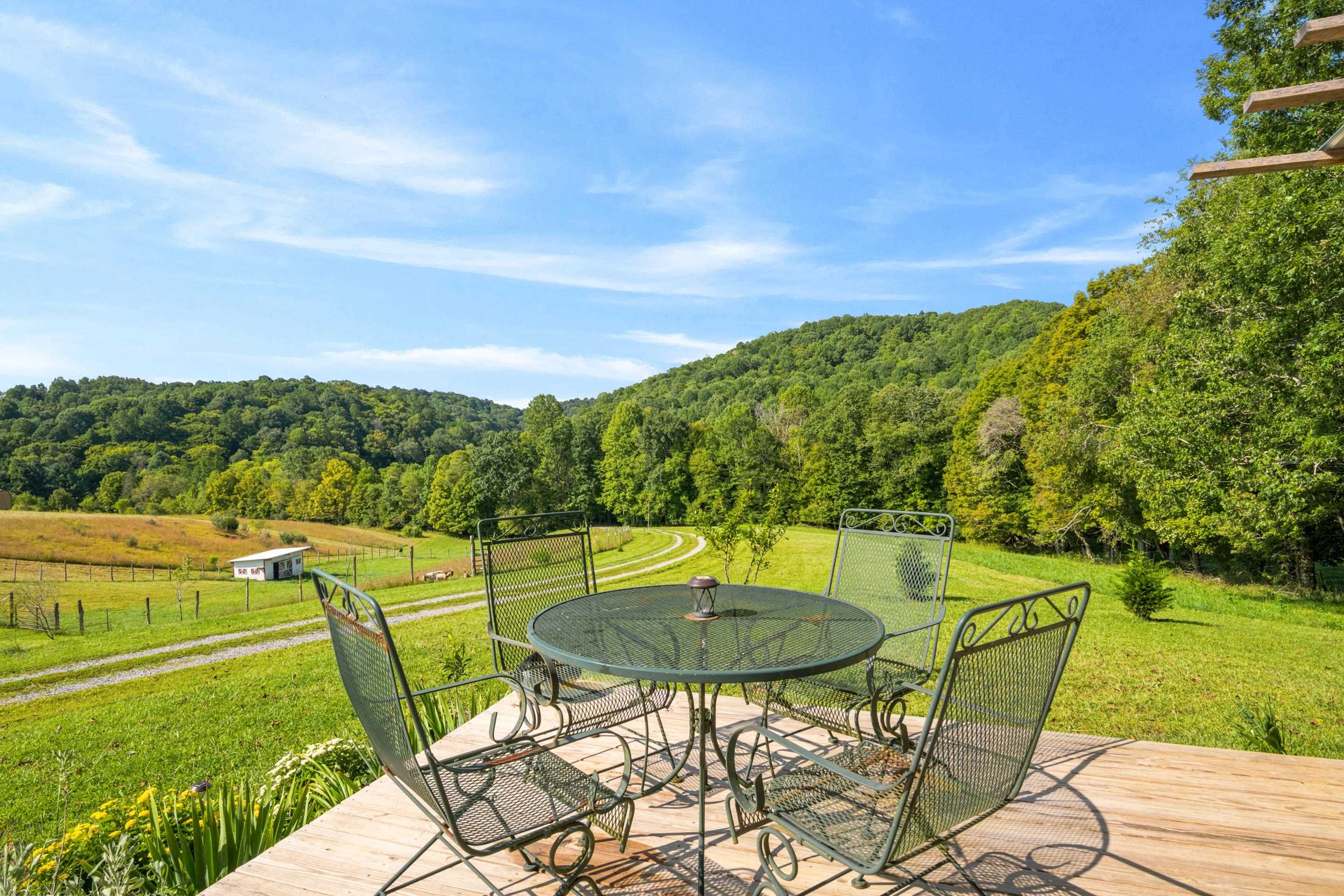 301 Tickle Pink Lane Rural Retreat VA 24368
