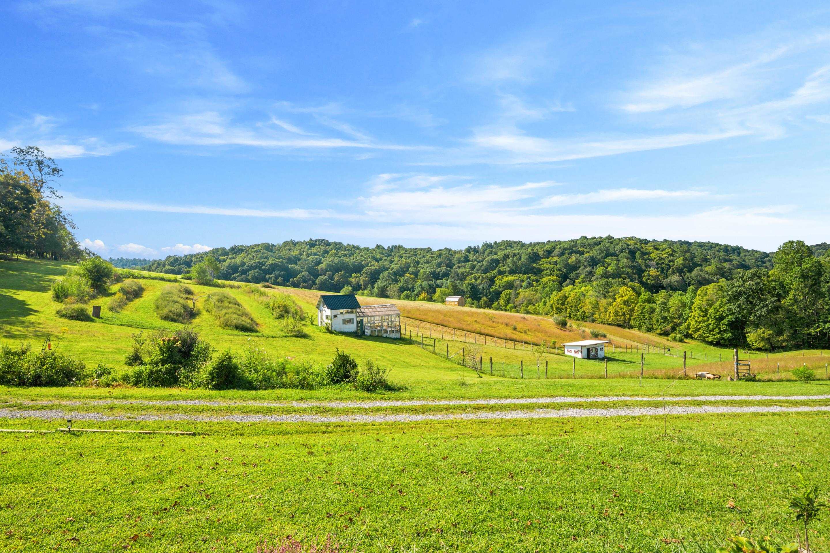 301 Tickle Pink Lane Rural Retreat VA 24368