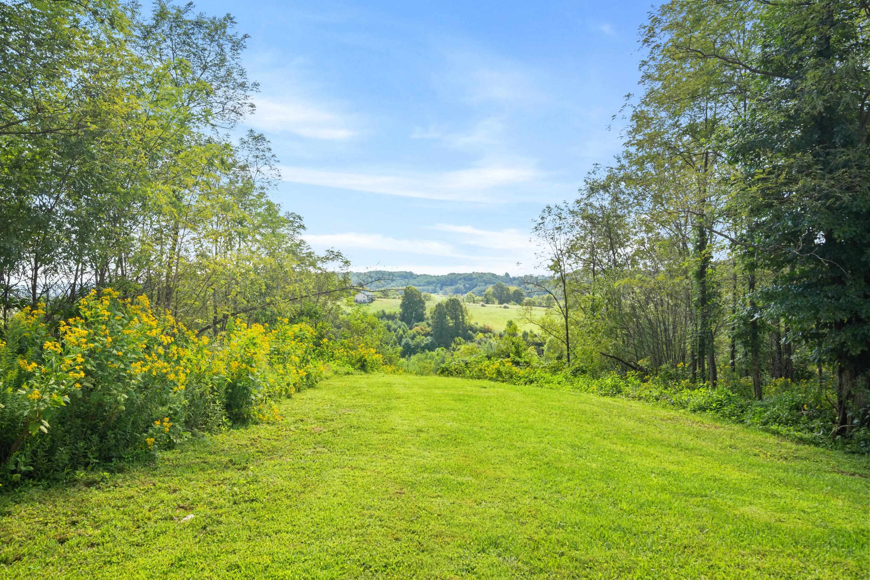 301 Tickle Pink Lane Rural Retreat VA 24368