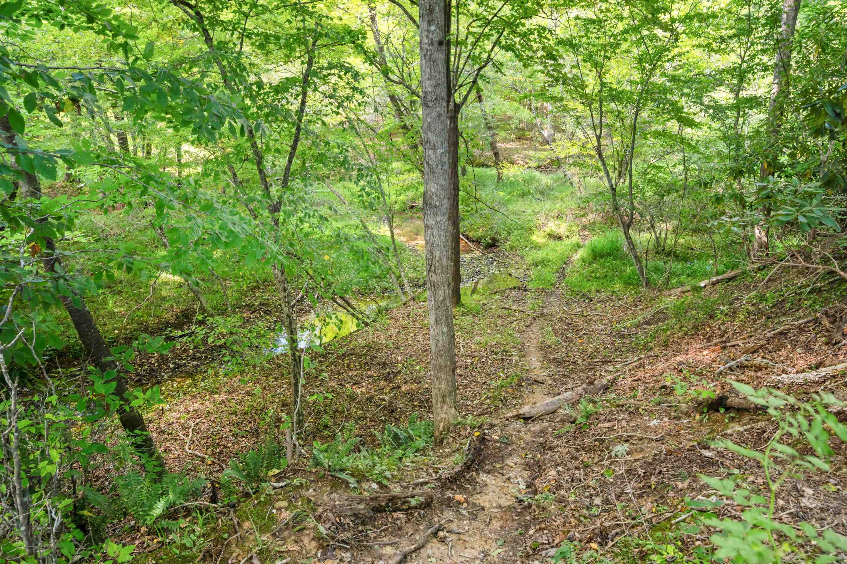 301 Tickle Pink Lane Rural Retreat VA 24368