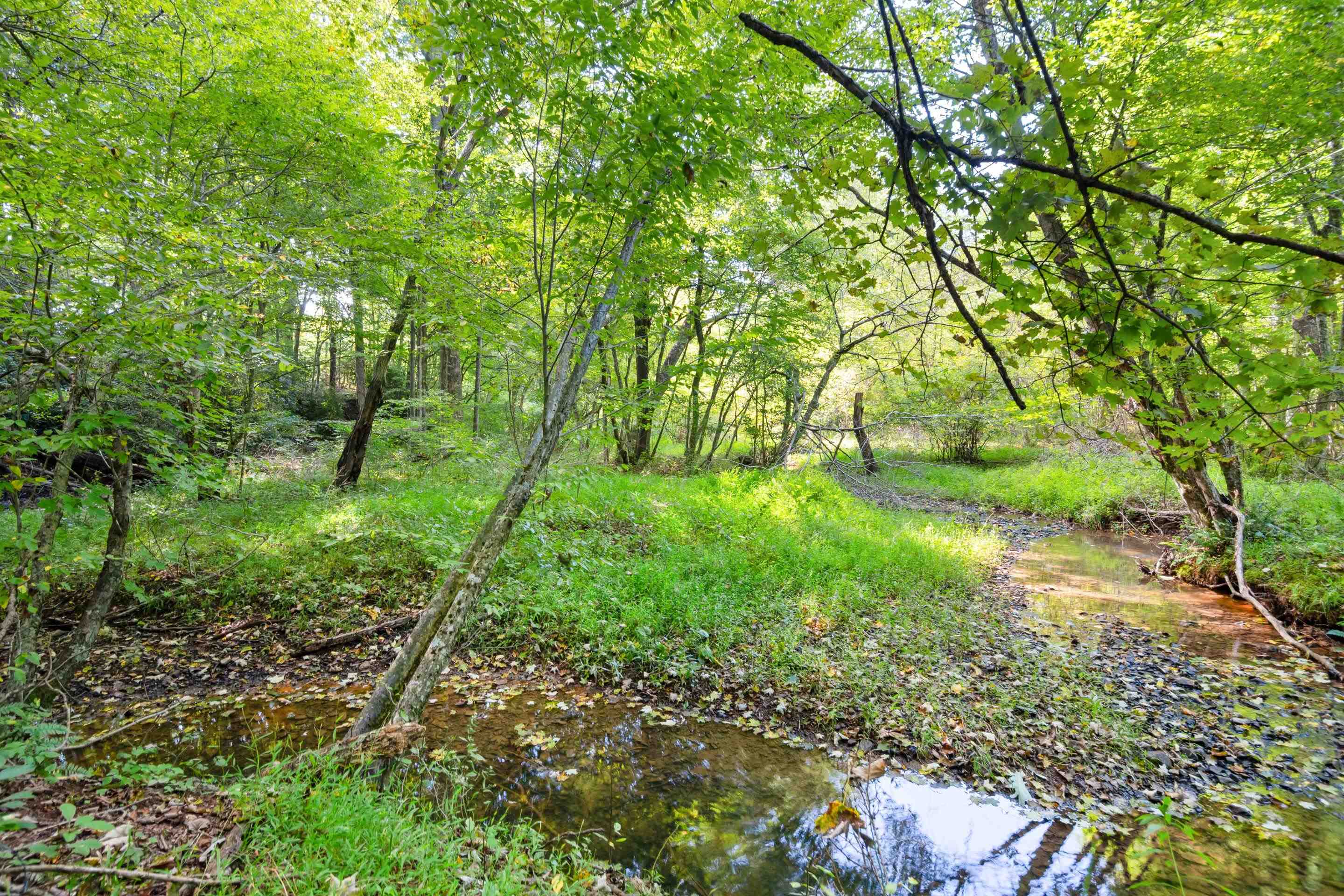 301 Tickle Pink Lane Rural Retreat VA 24368