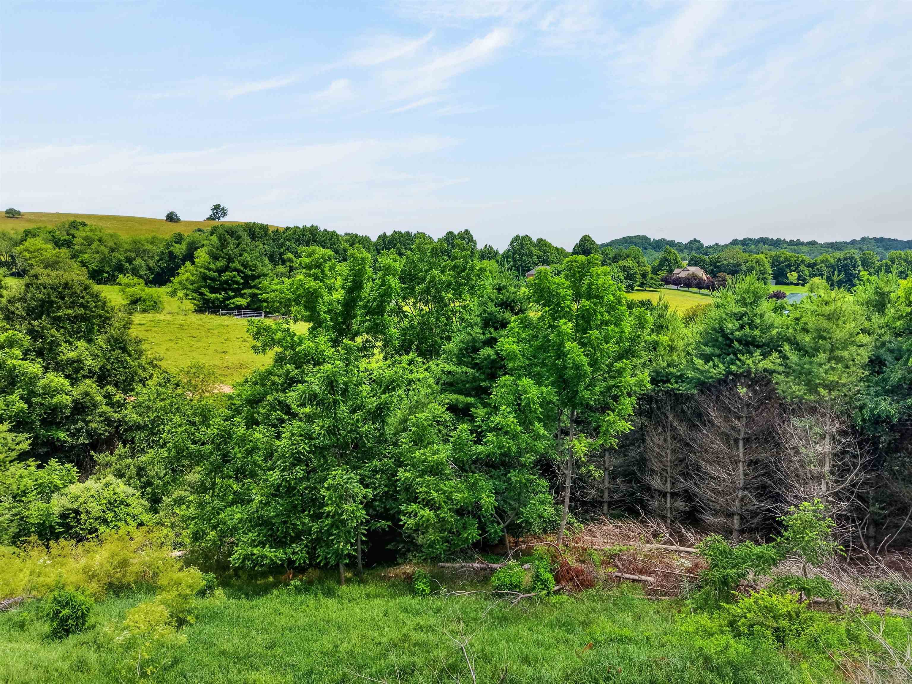 77 Amelia Drive Hillsville VA 24343