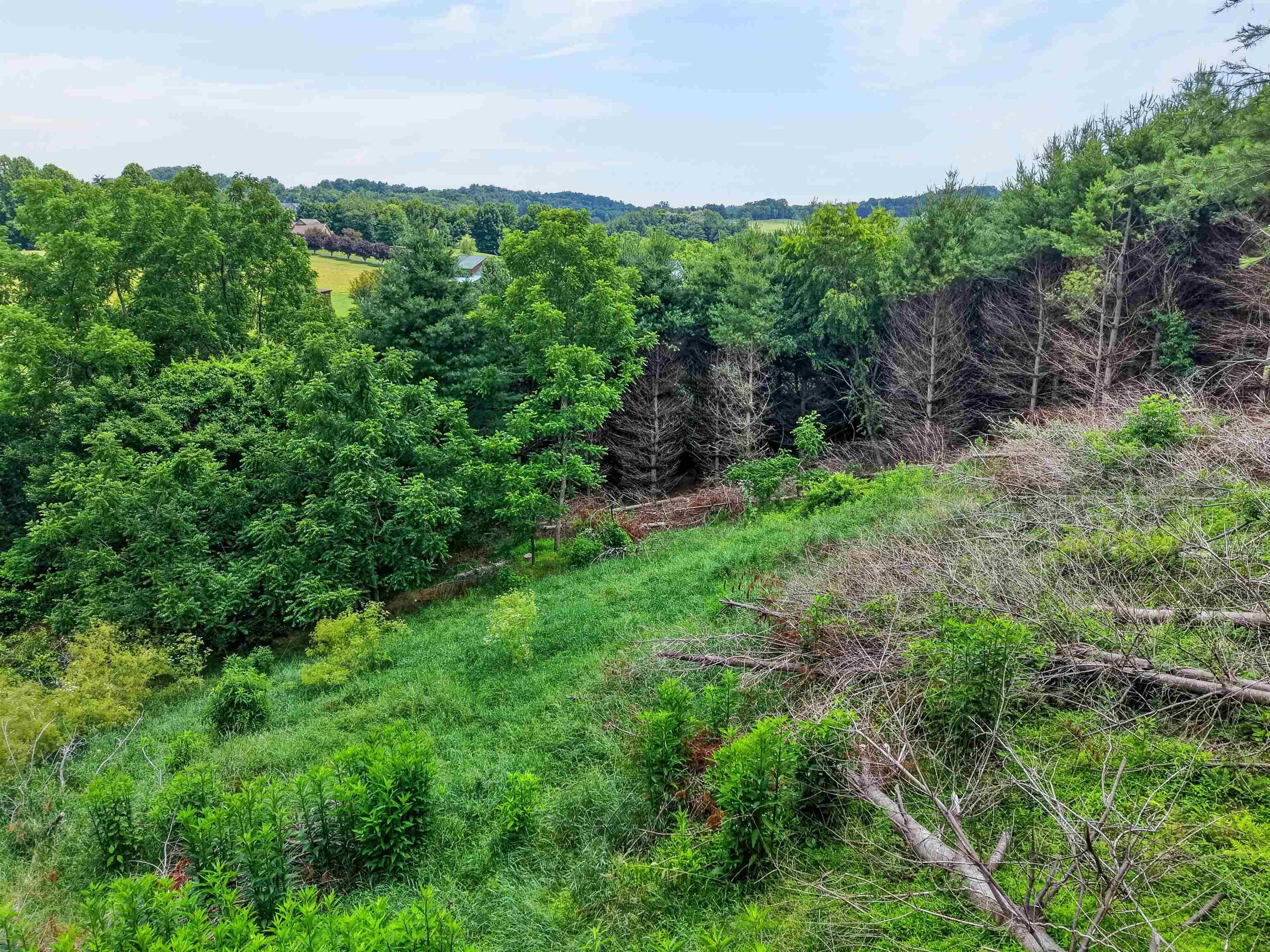 77 Amelia Drive Hillsville VA 24343