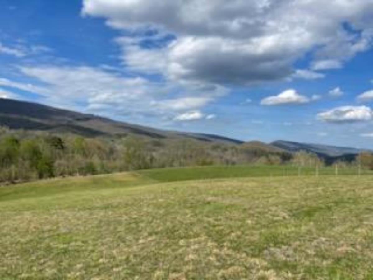 398 Penvir Road Narrows VA 24124