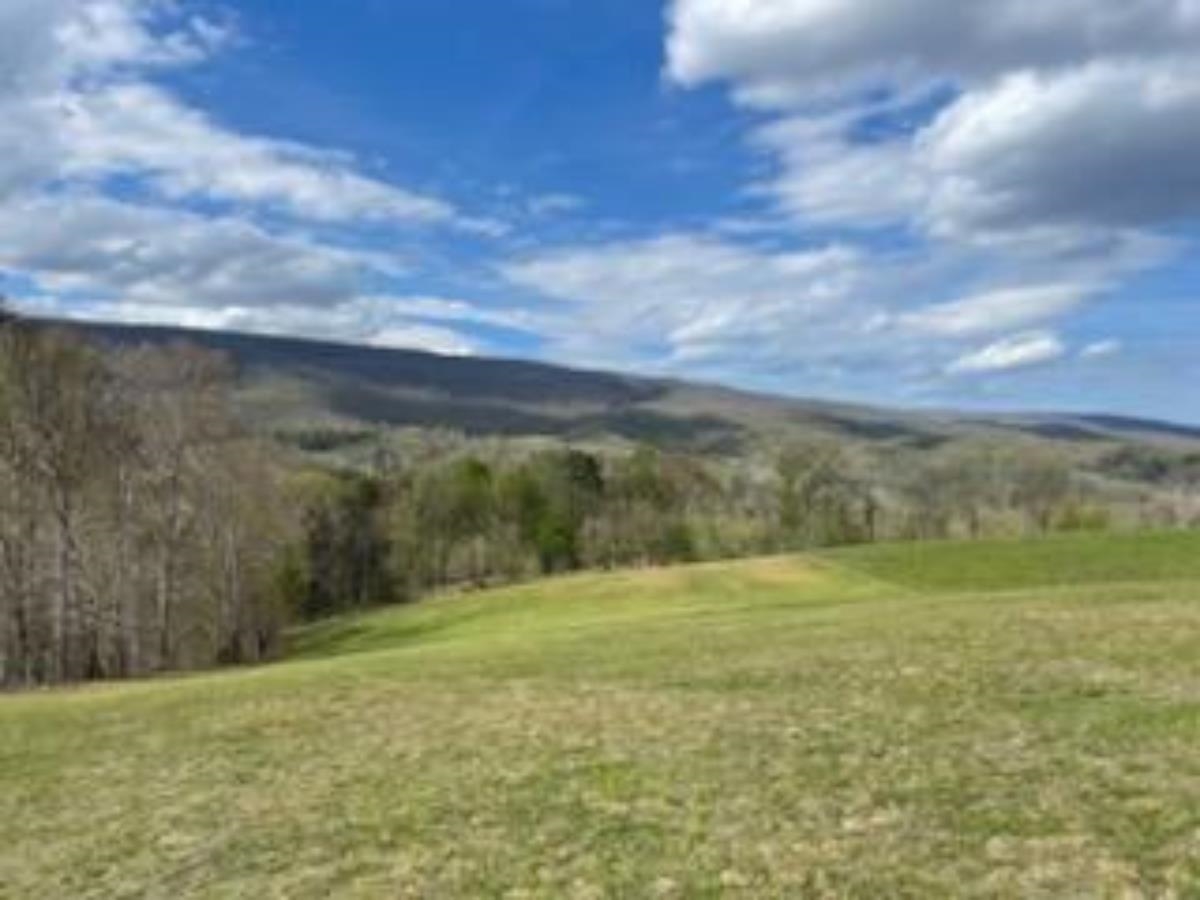 398 Penvir Road Narrows VA 24124