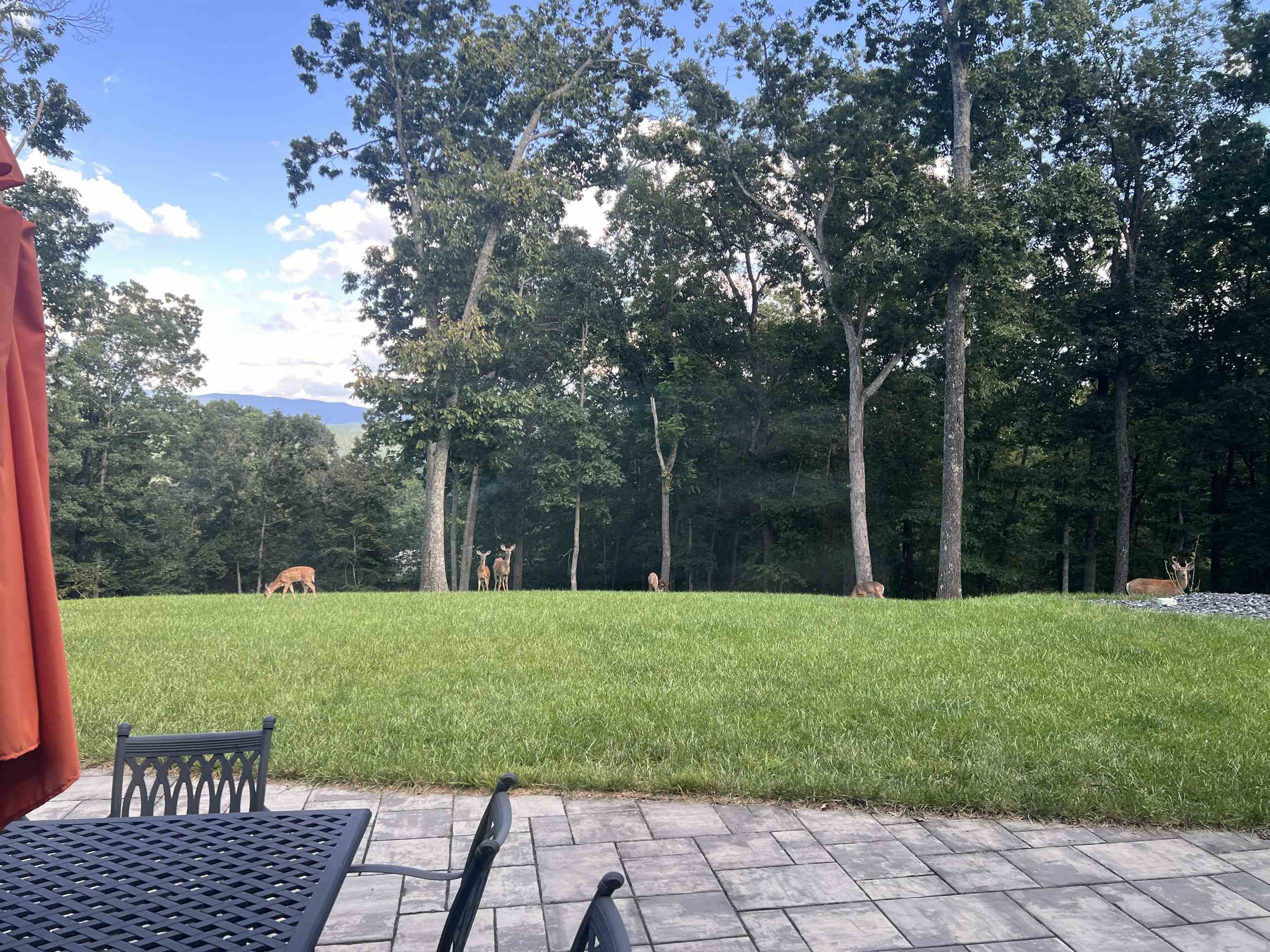 500 Quailwood Drive Blacksburg VA 24060