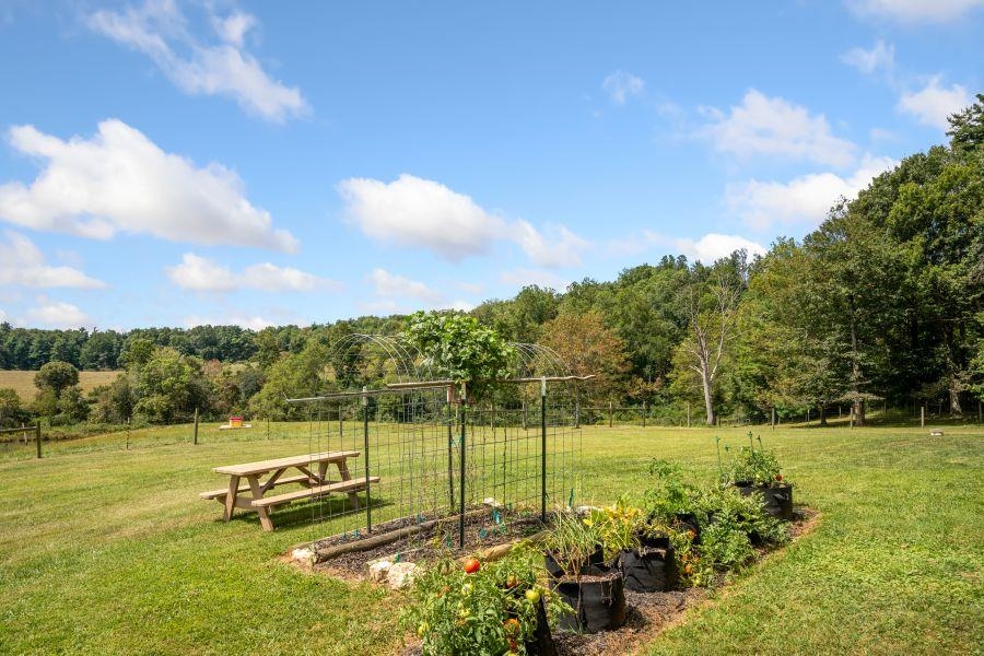 446 Good Neighbors Road NE Check VA 24072